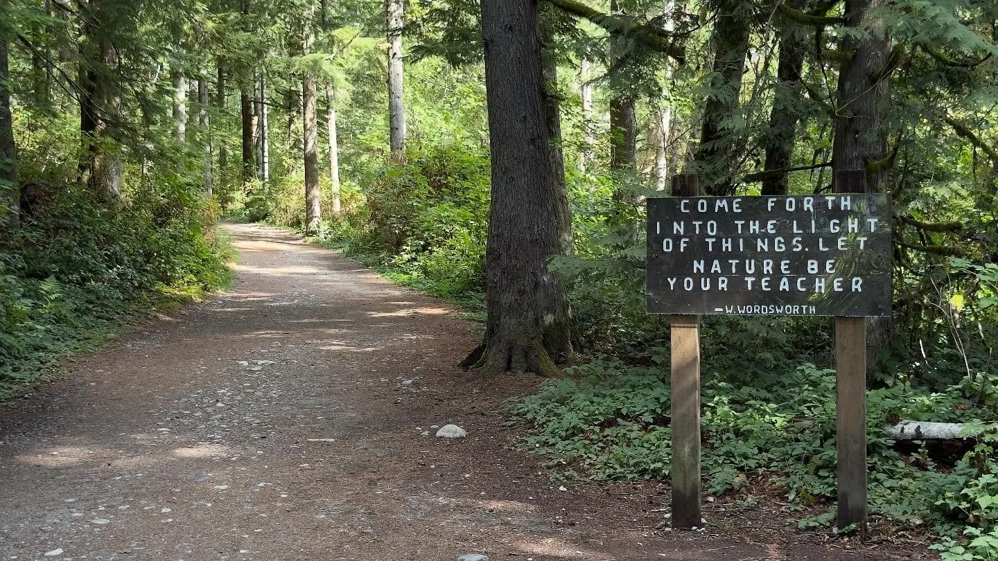 Hiked Skyline Trail in Mount Rainier this week, hands down the hardest hike of my life. 

Something shifted up there. Every step was a reminder of how small we are, yet how big we can be. 

This trip started with Wallace Falls and gave me clarity: th