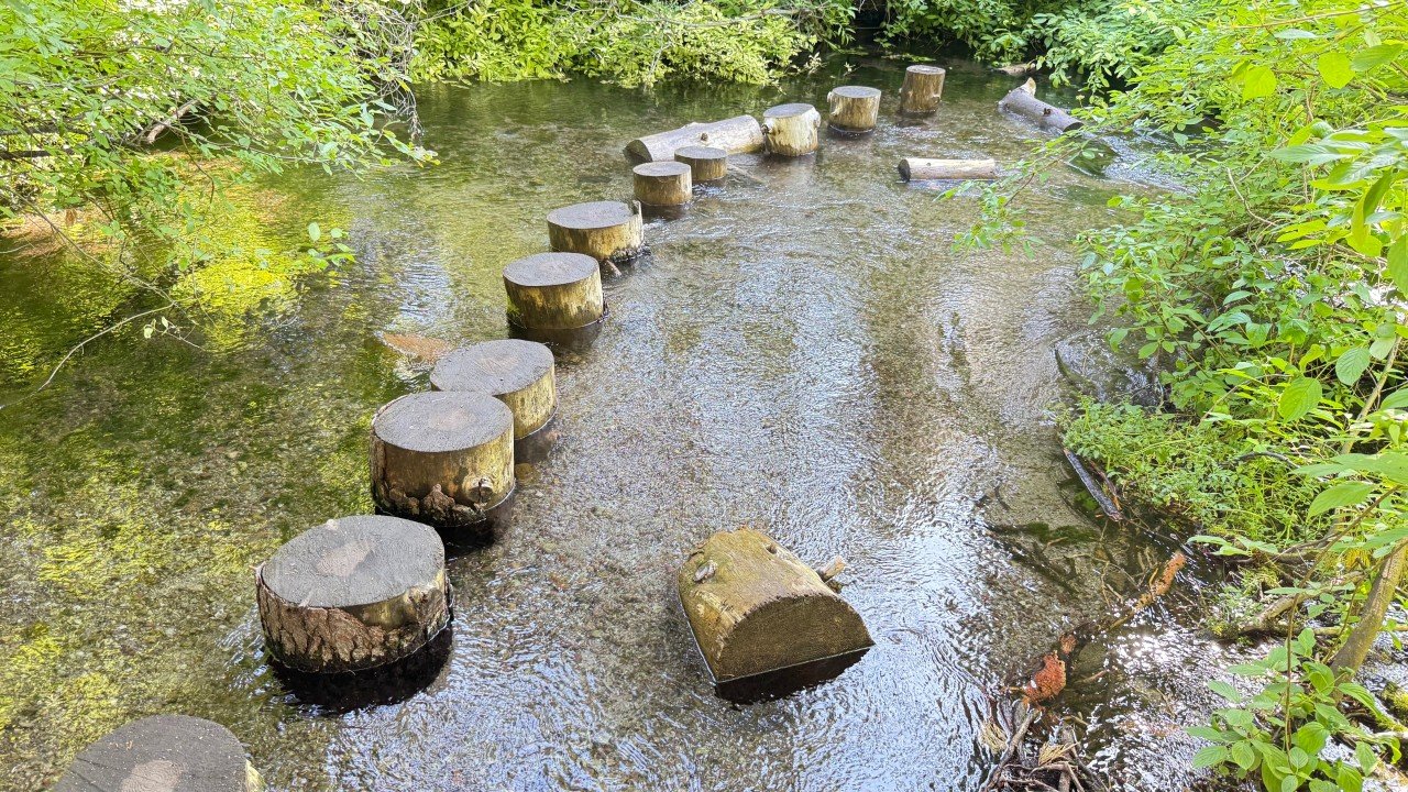 Healing the Father Wound: Breaking the Cycle of Pain