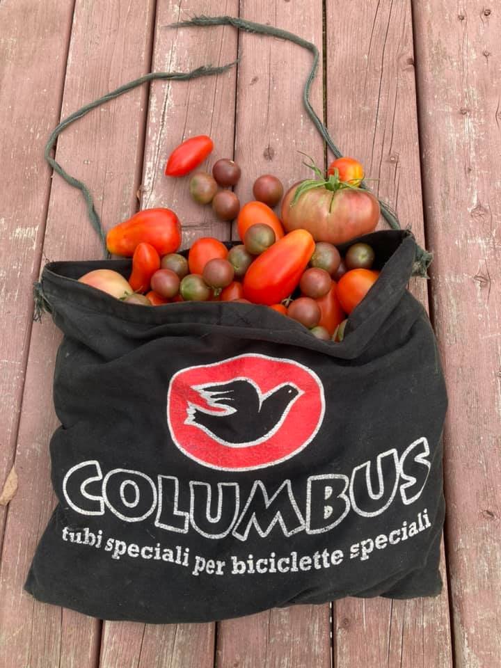 broken musette.jpg
