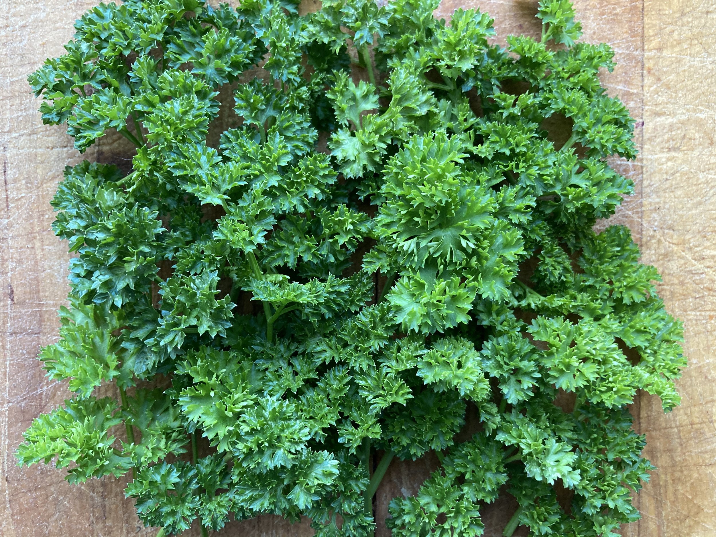 parsley.jpg