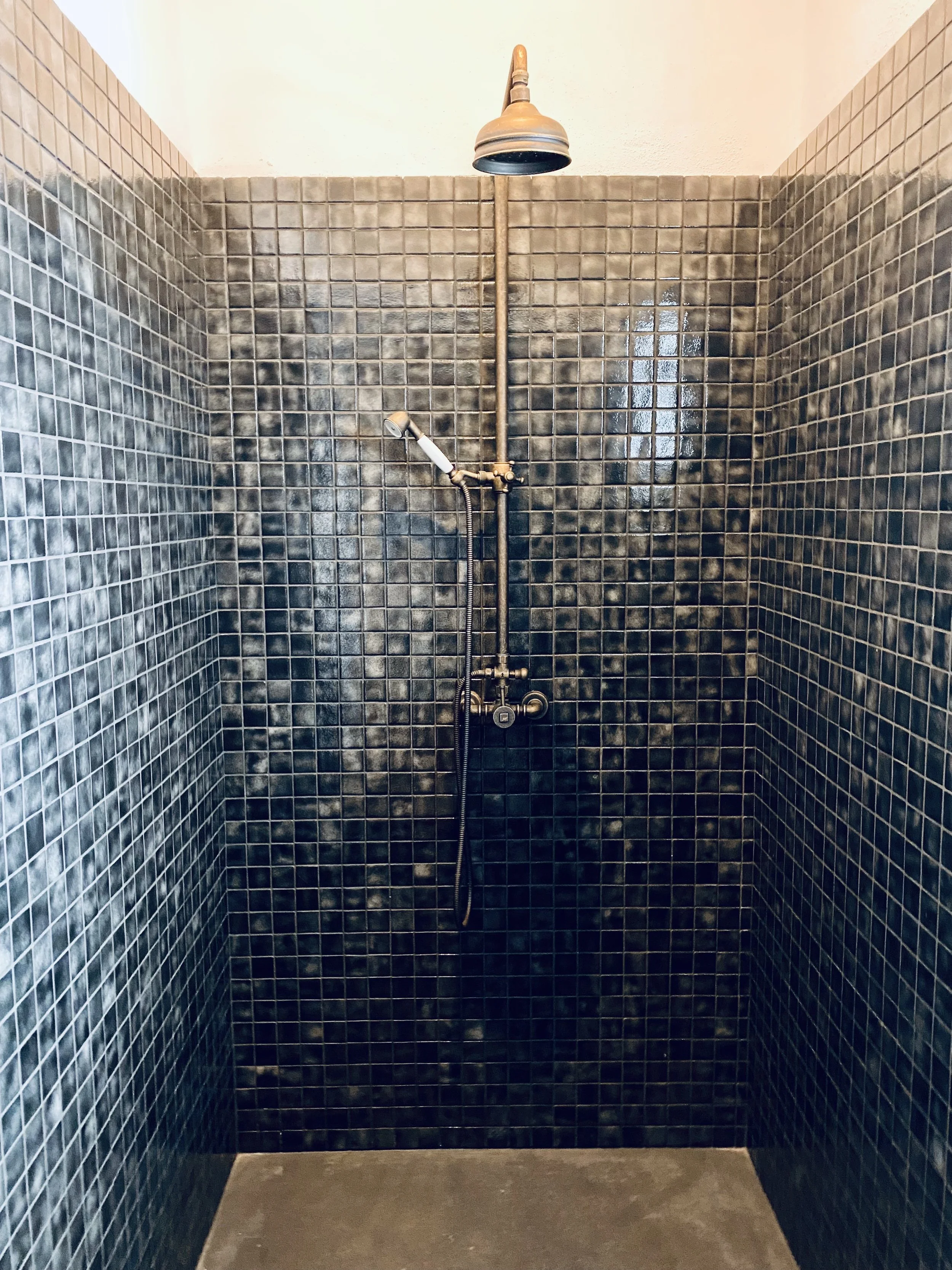 Finca Curbelo Apartment 2 Shower.jpg