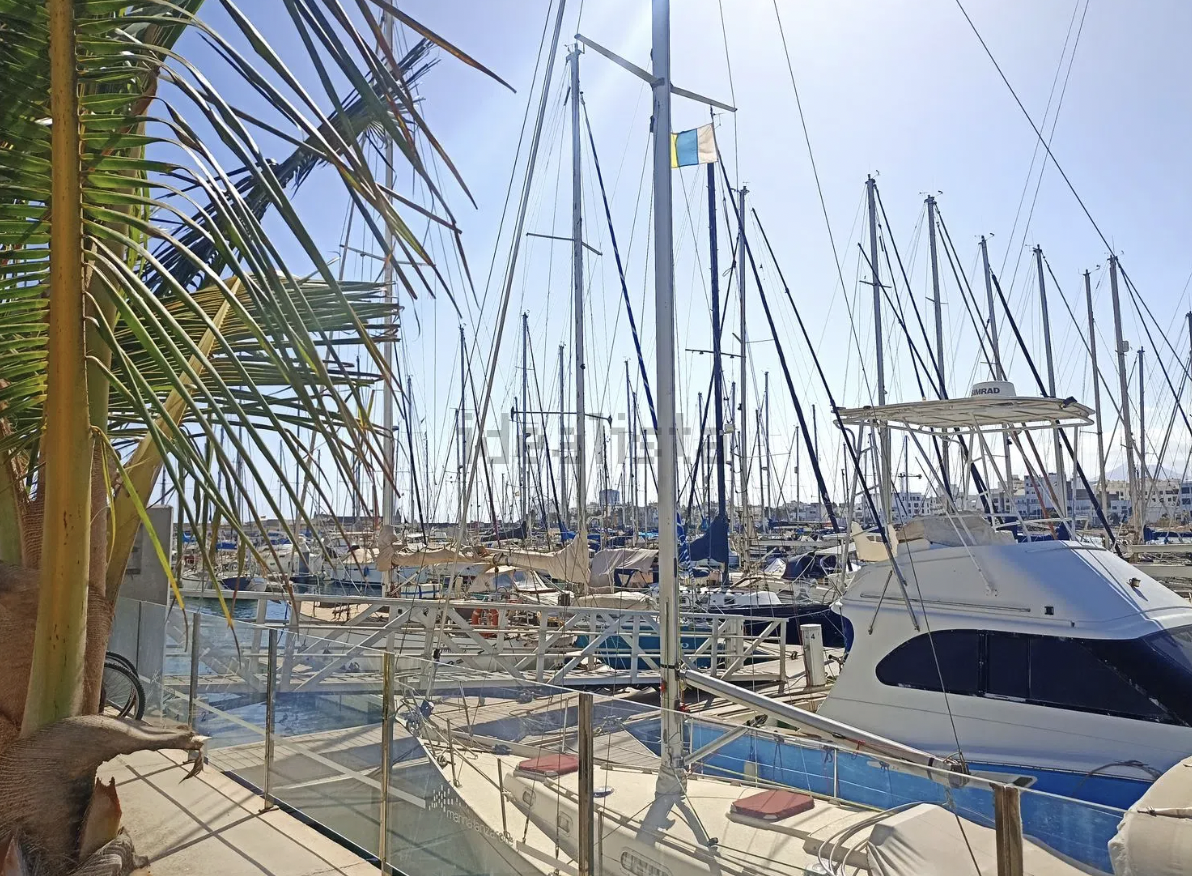 Captura de Pantalla 2026-02-06 a las 11.54.14.png