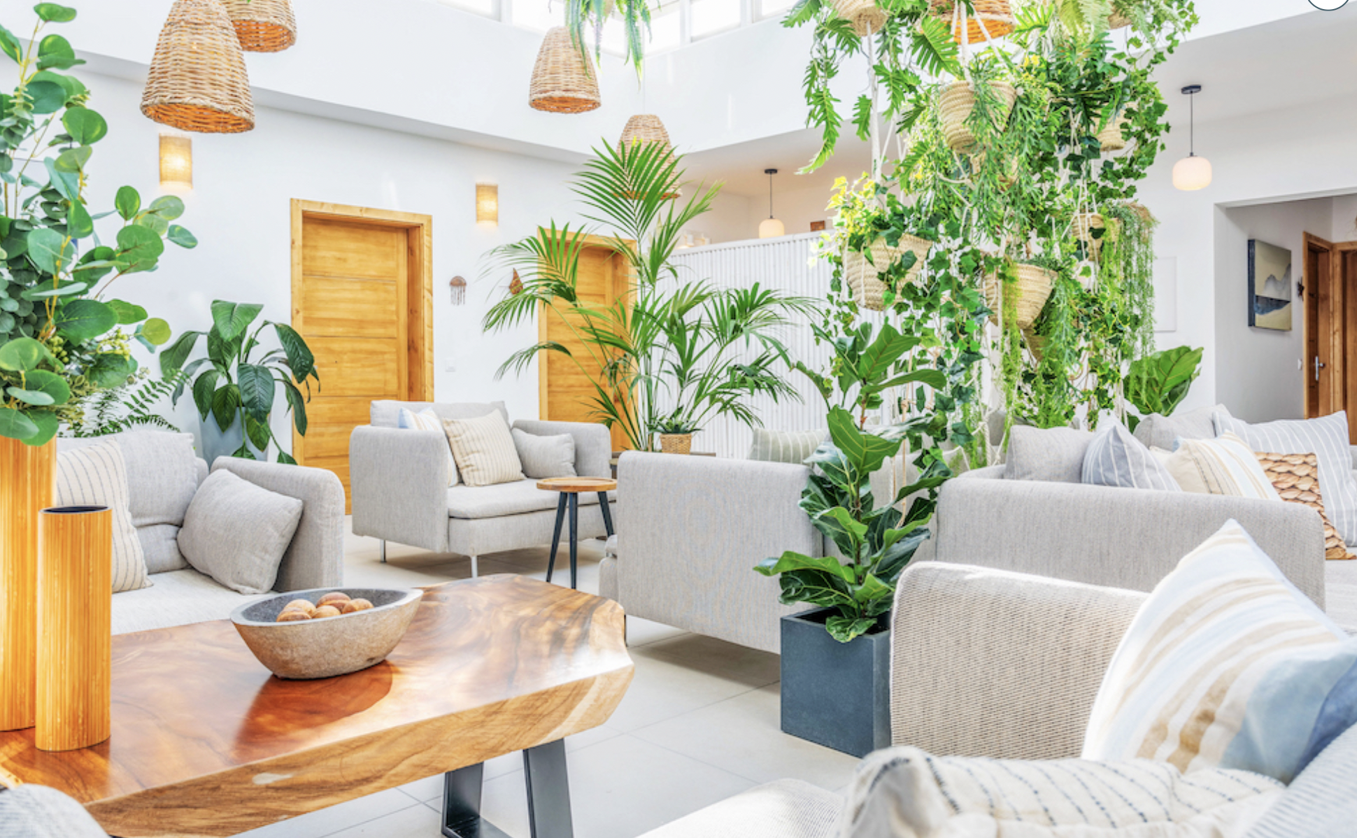 Captura de Pantalla 2026-03-24 a las 9.49.01.png