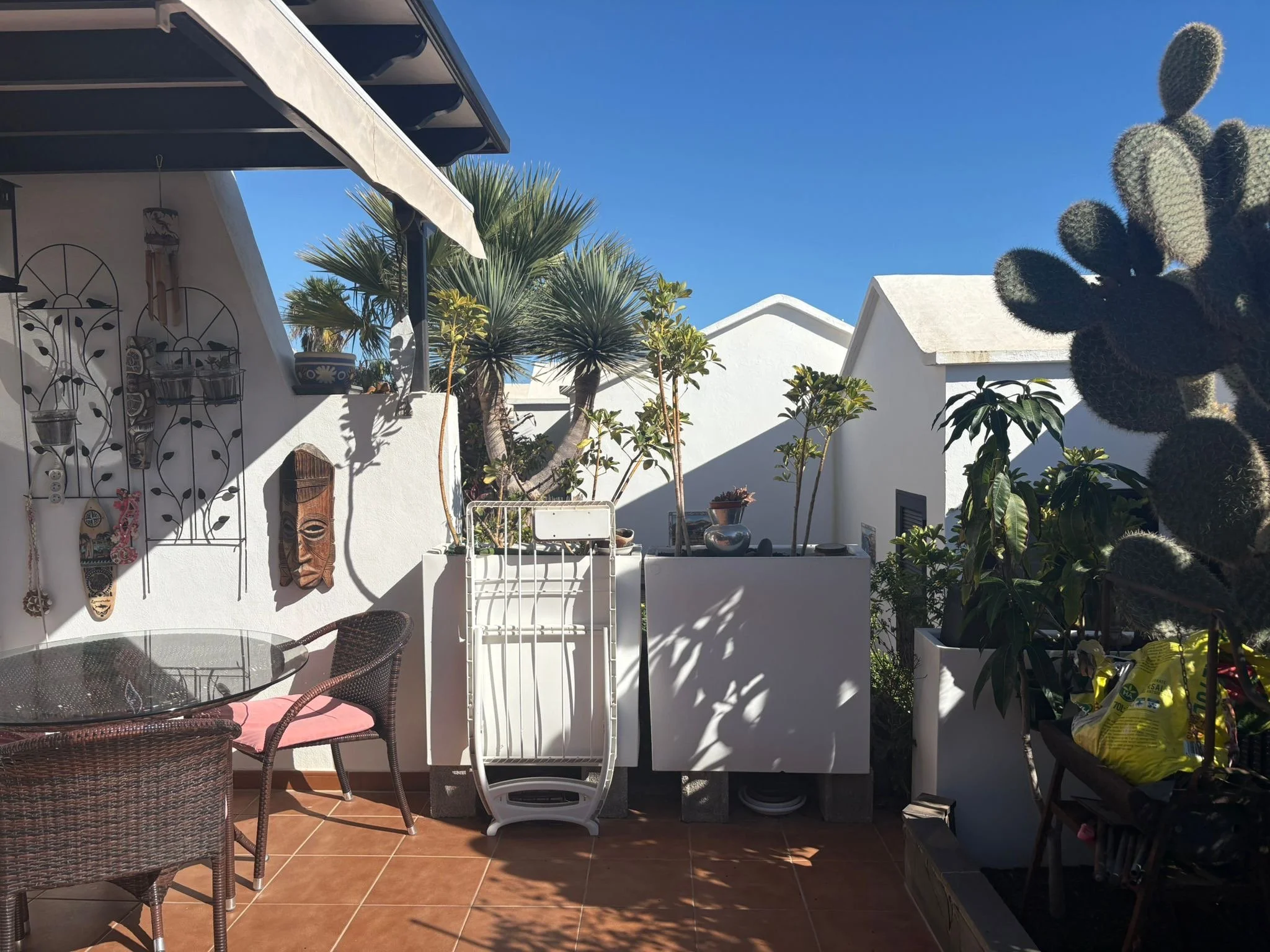Rooftop terrace with wicker chairs and a glass table. Decorative items and wall hangings adorn the white walls. Potted plants are placed around, including a tall cactus. Bright sunlight and clear blue sky enhance the outdoor setting.