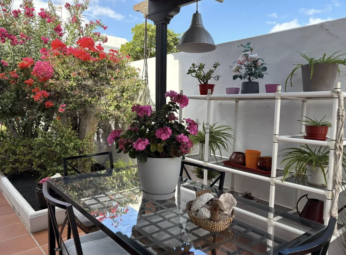 Captura de Pantalla 2026-01-27 a las 9.29.57.png