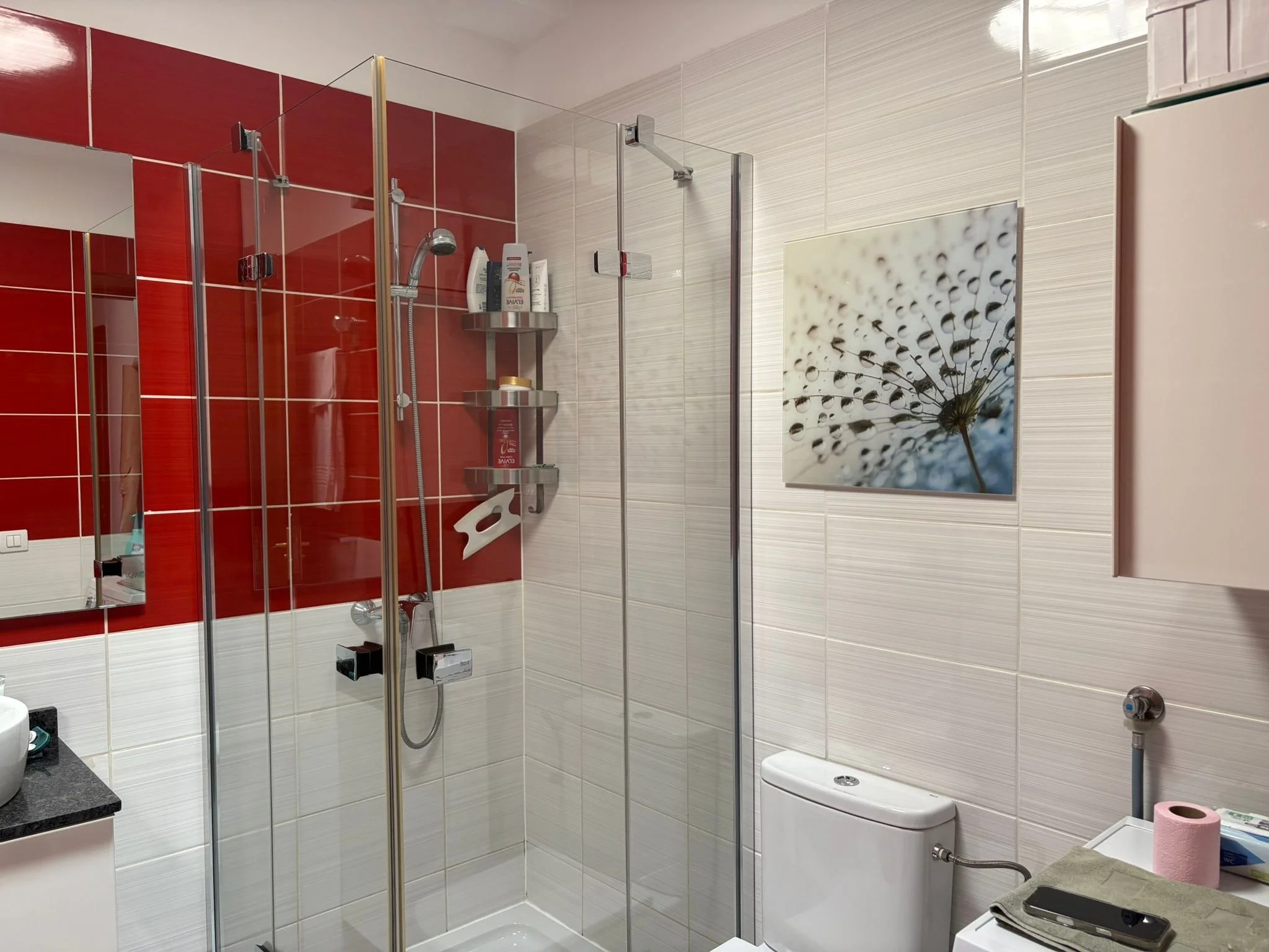 Modern bathroom with red and white tiles, glass shower enclosure, toilet, and a close-up dandelion wall picture.