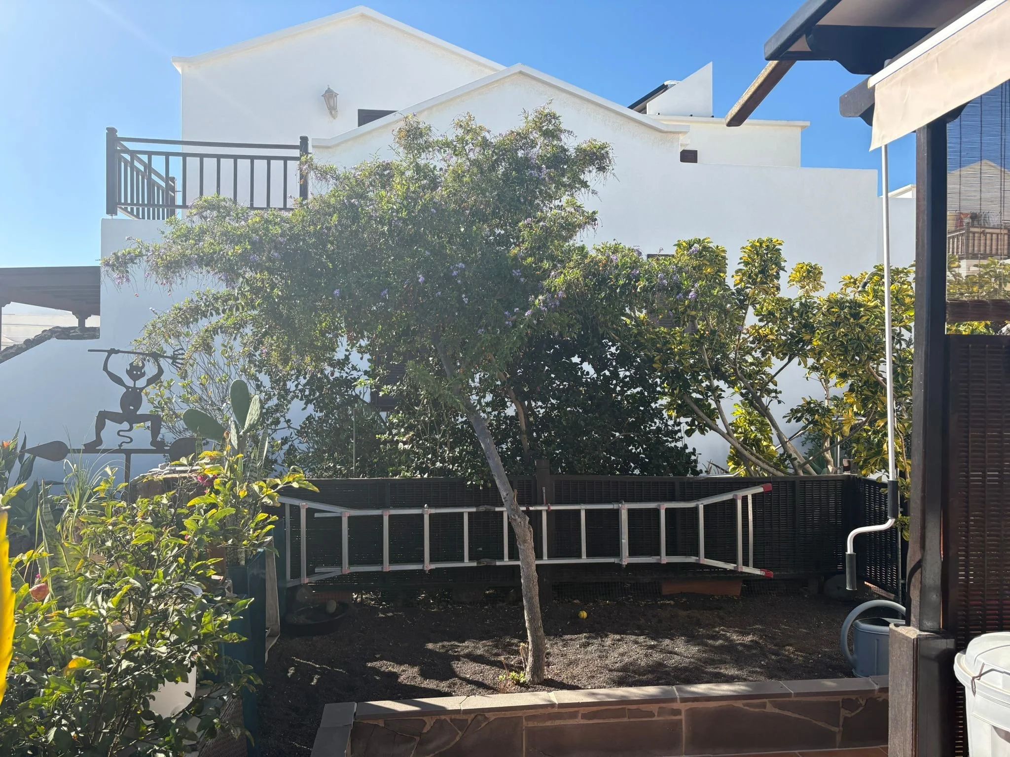Backyard garden with a tree, a decorative figure, a white building, and a ladder.