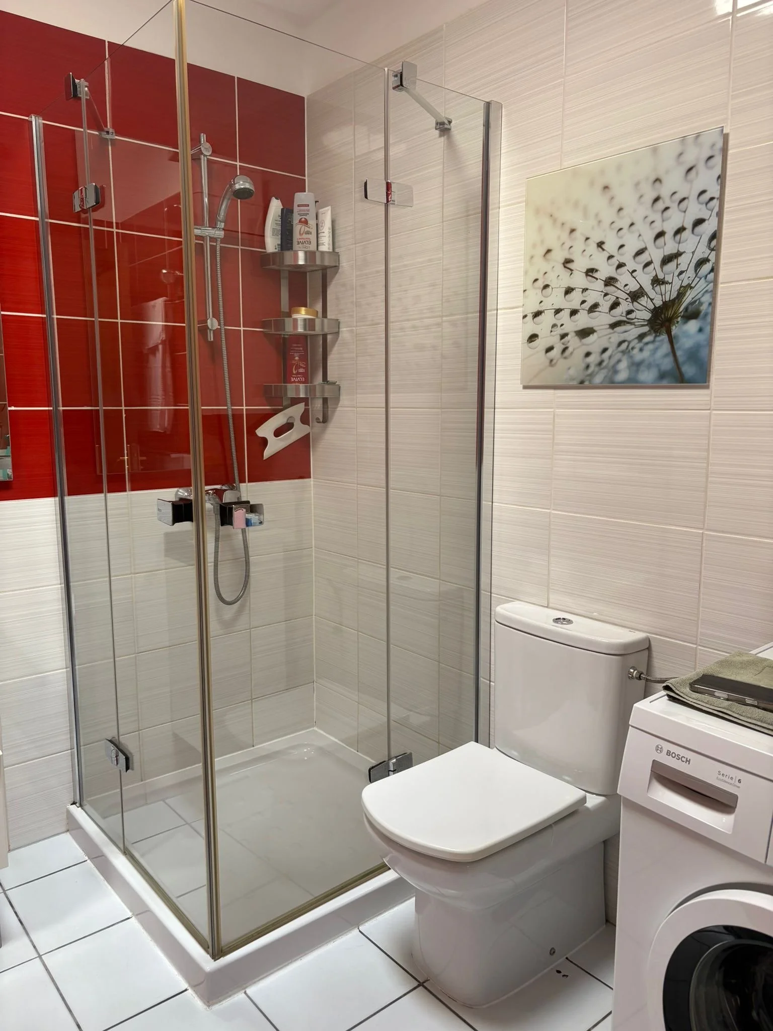 Modern bathroom with glass shower enclosure, toilet, and washing machine; red and white tiles, wall art of a dandelion.