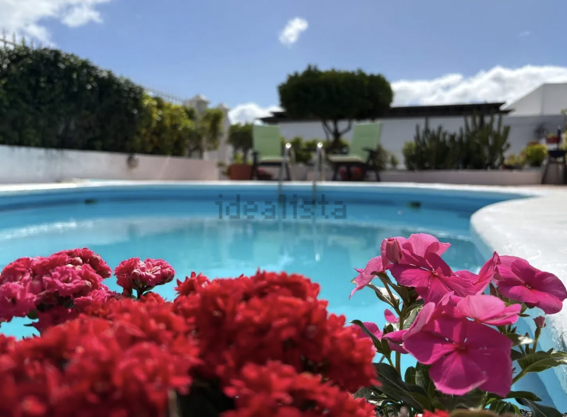 Captura de Pantalla 2026-01-27 a las 9.29.13.png