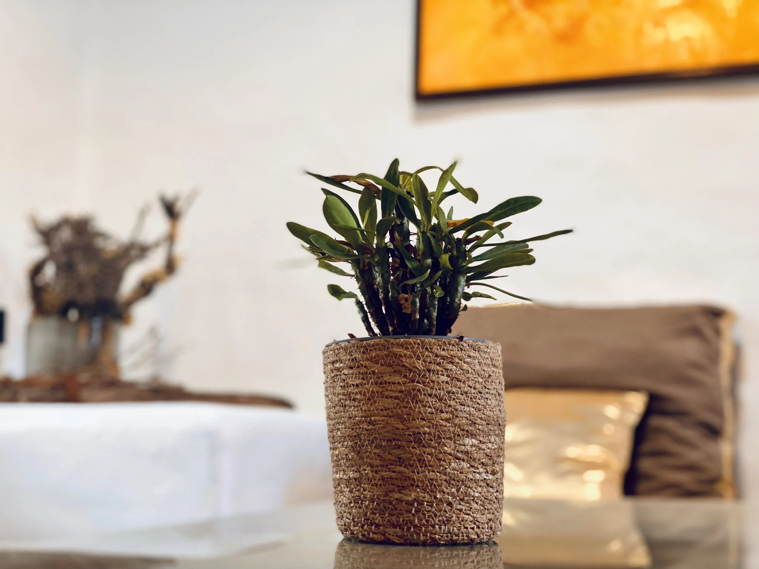 Finca Curbelo Apartment 7 Detail 2.jpg
