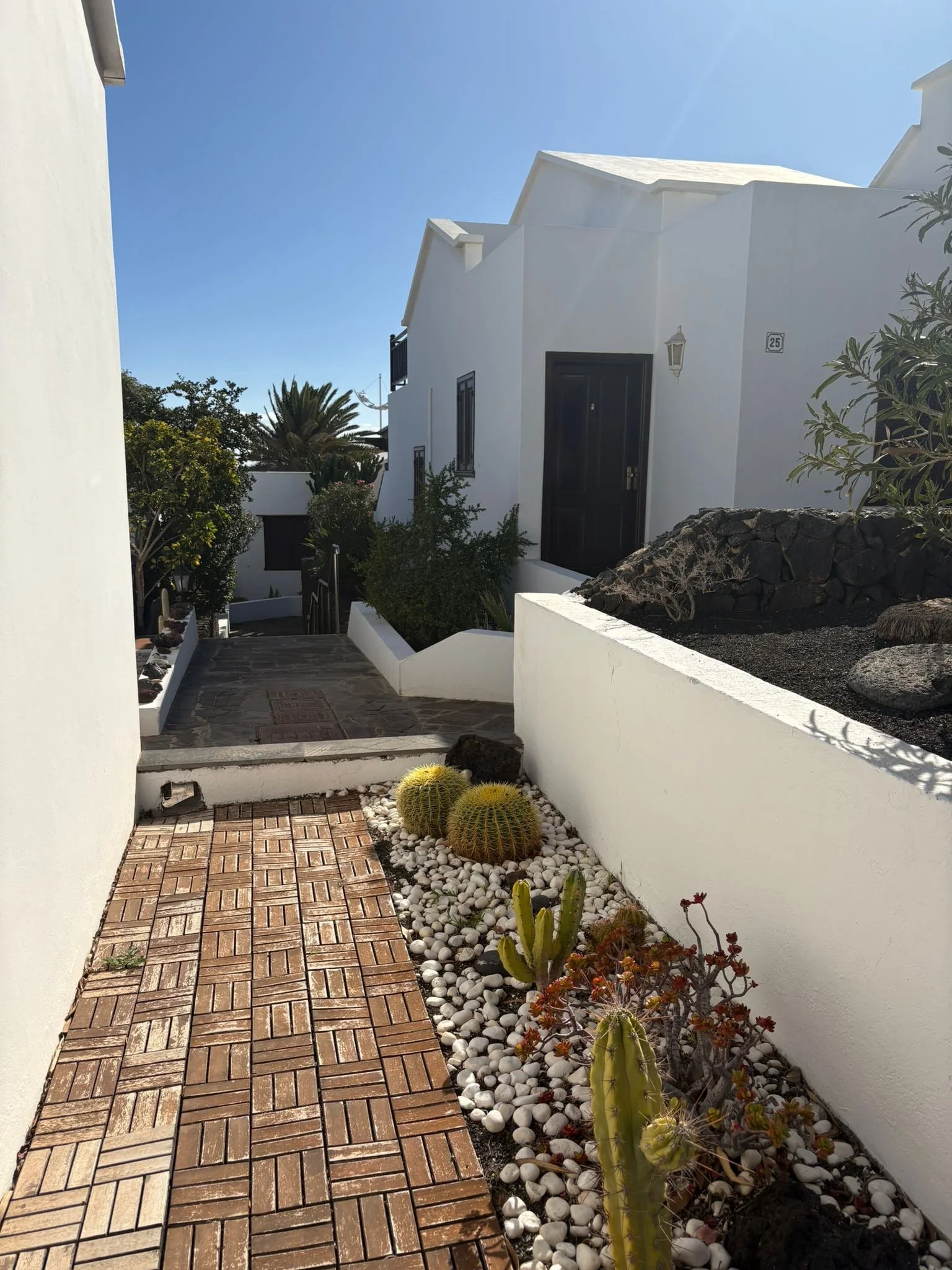Exterior view of a white building with a wooden walkway and cactus garden
