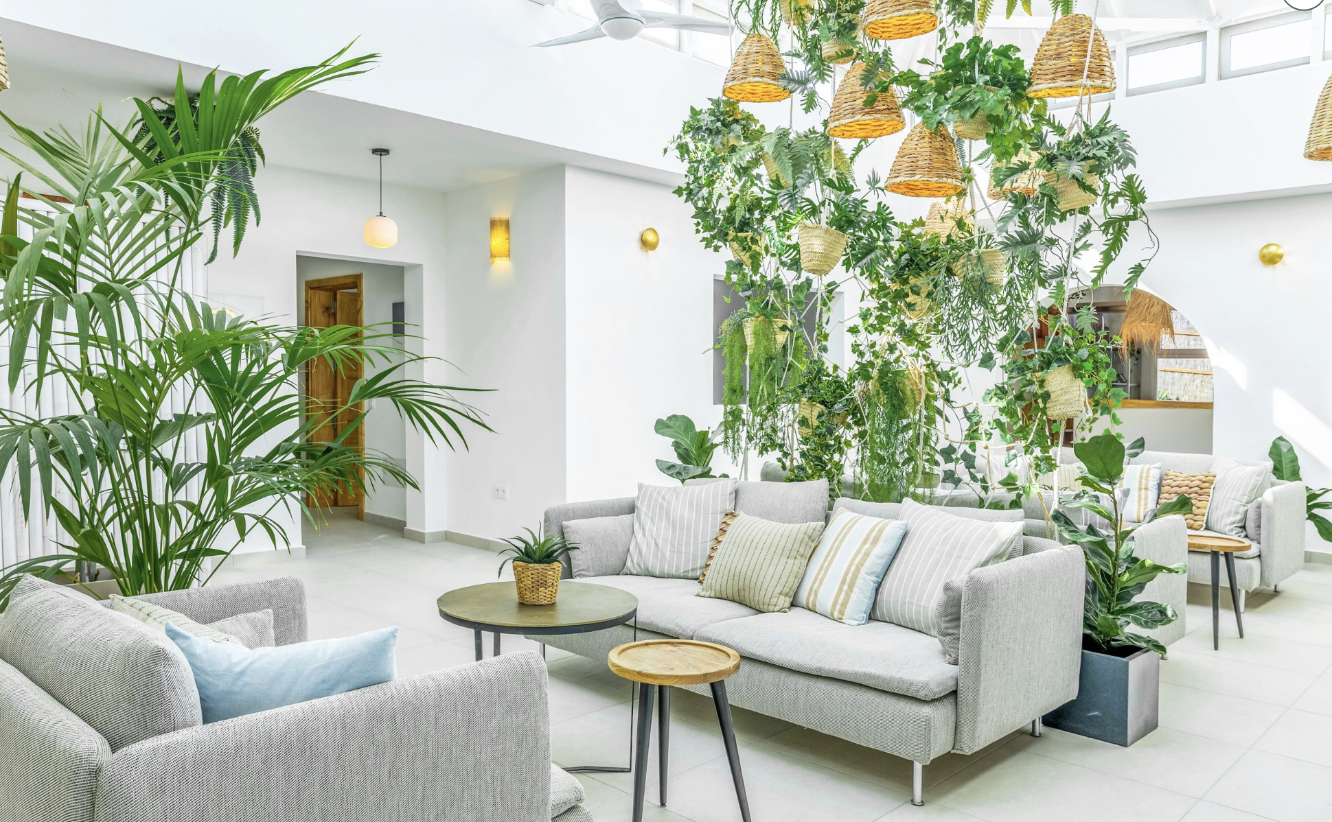 Captura de Pantalla 2026-03-24 a las 9.48.30.png