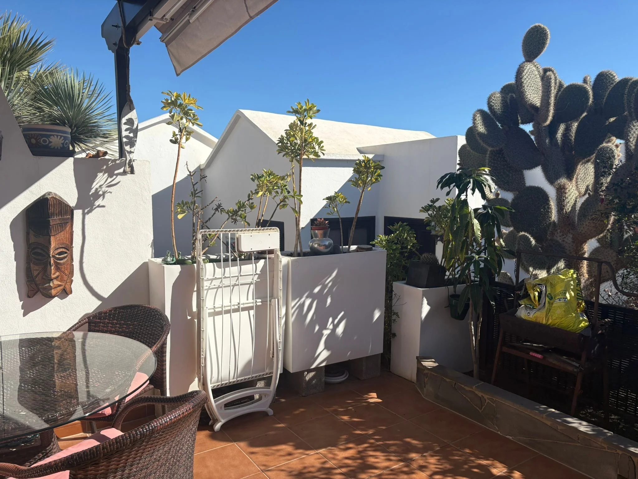 Outdoor patio with wicker chair, glass table, potted plants, large cactus, decorative mask, and a folded drying rack against a white wall on a sunny day.