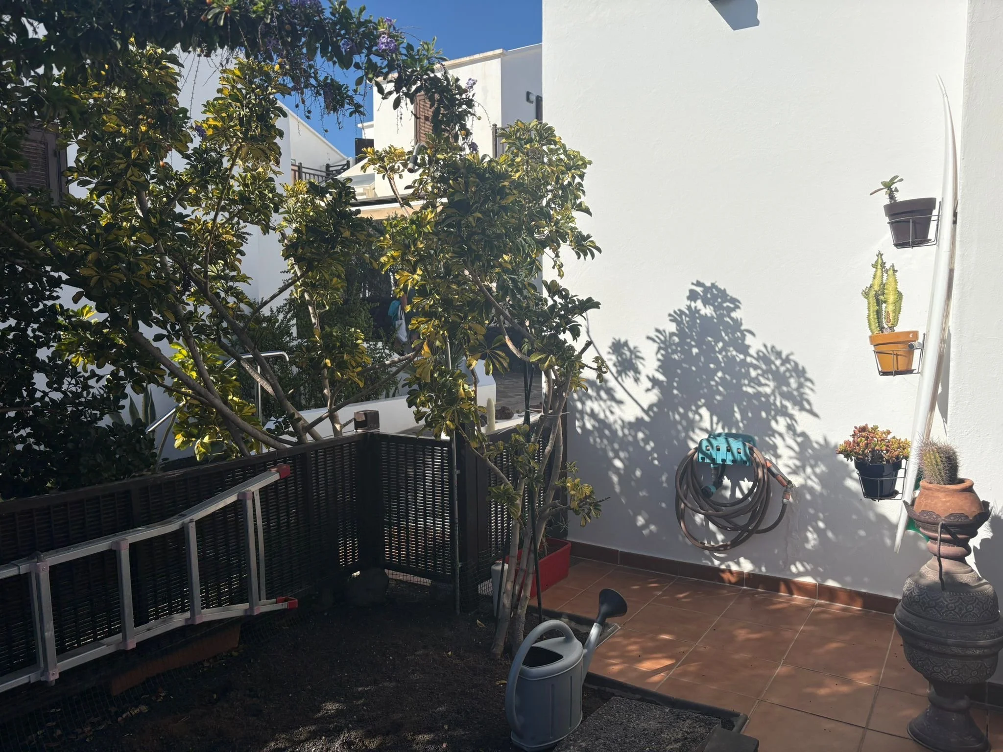 A sunny outdoor patio with a potted plant, several hanging pots with plants, and a garden hose on a reel. There's a gardening watering can on the ground and a decorative ladder propped against the wall. The wall casts shadows from the plants under th