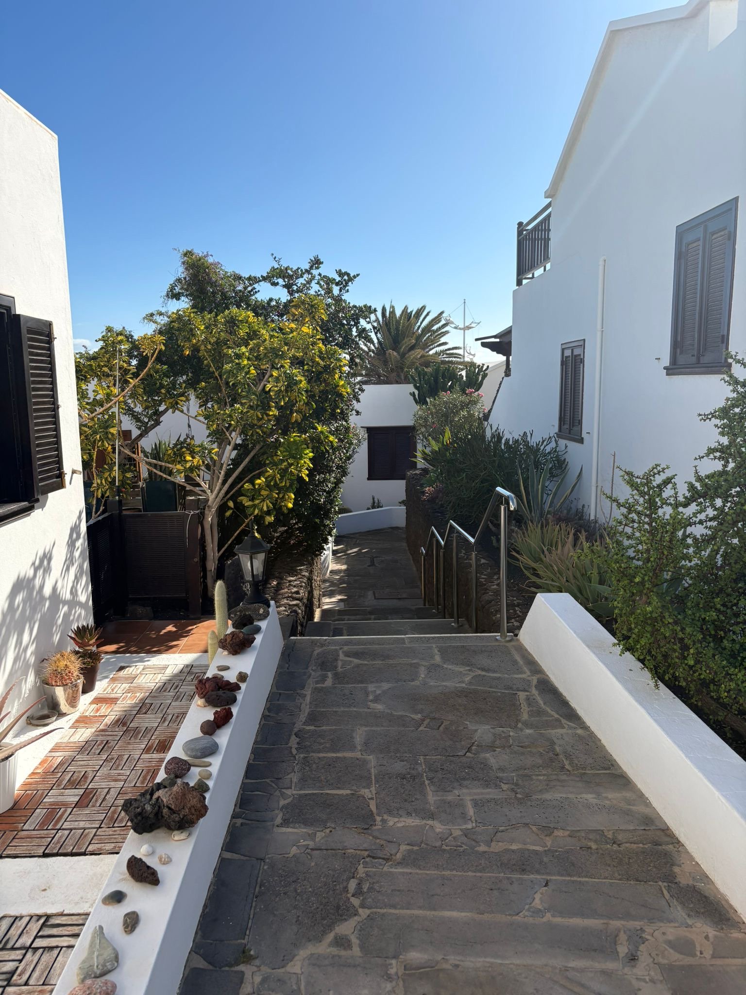 Stone walkway lined with white walls, plants, and rocks; tree and white buildings in the background under a clear blue sky.