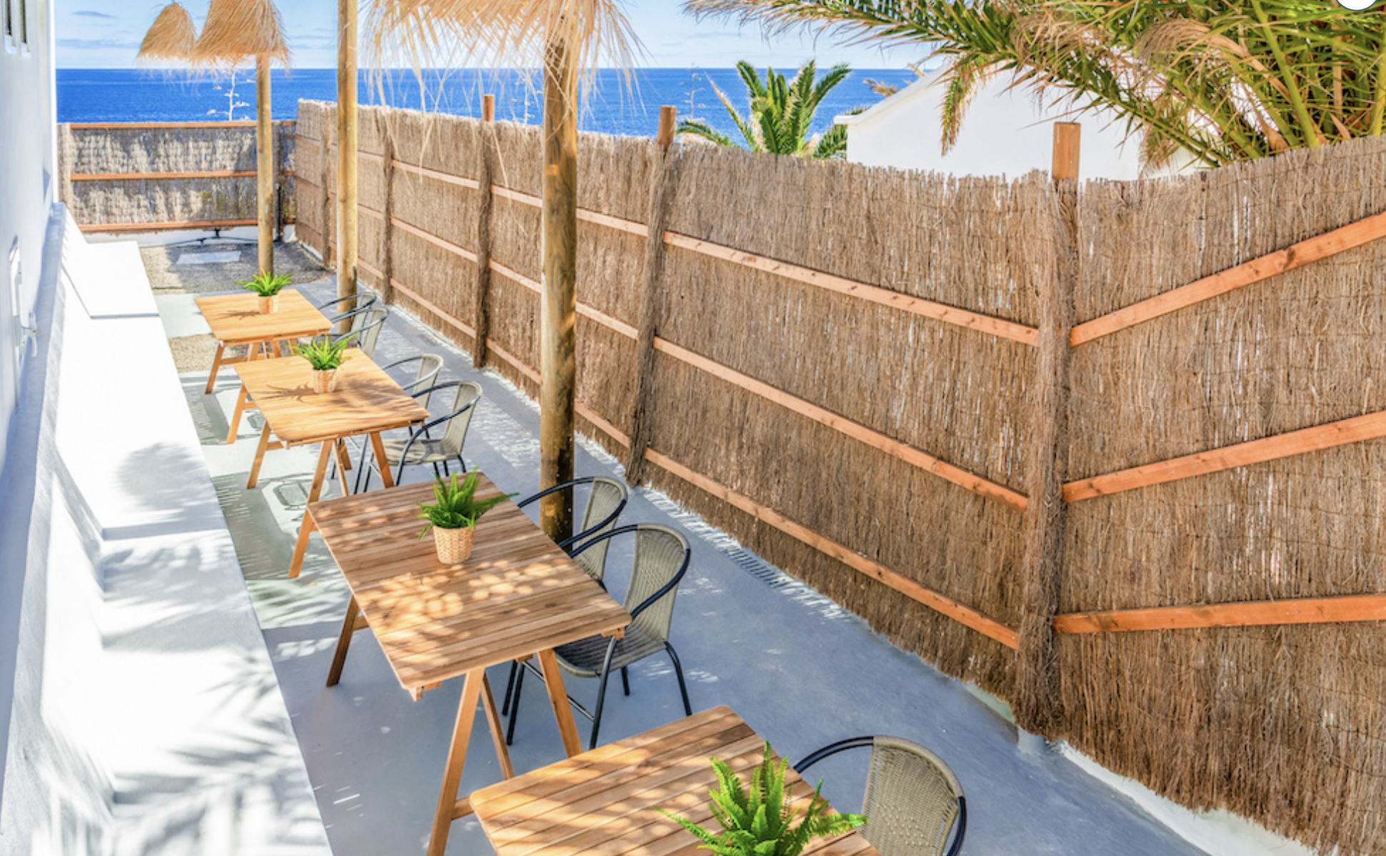 Captura de Pantalla 2026-03-24 a las 9.52.46.png