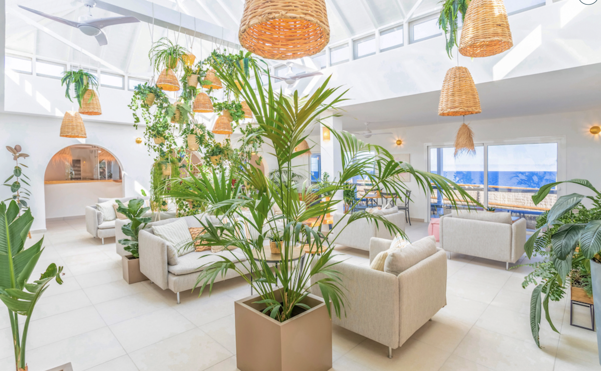 Captura de Pantalla 2026-03-24 a las 9.48.23.png