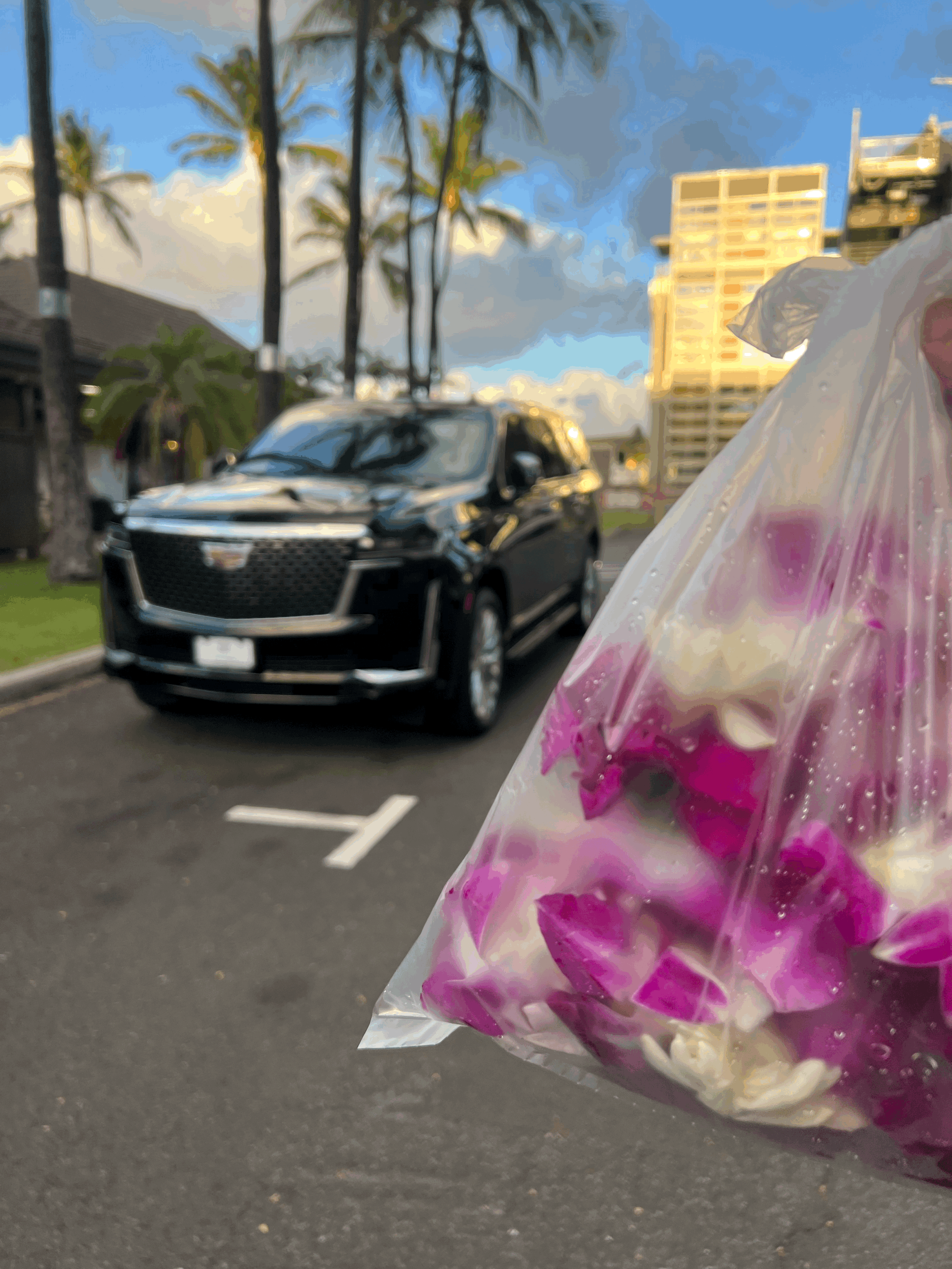 Do You Offer Group Transportation for Tour Companies?