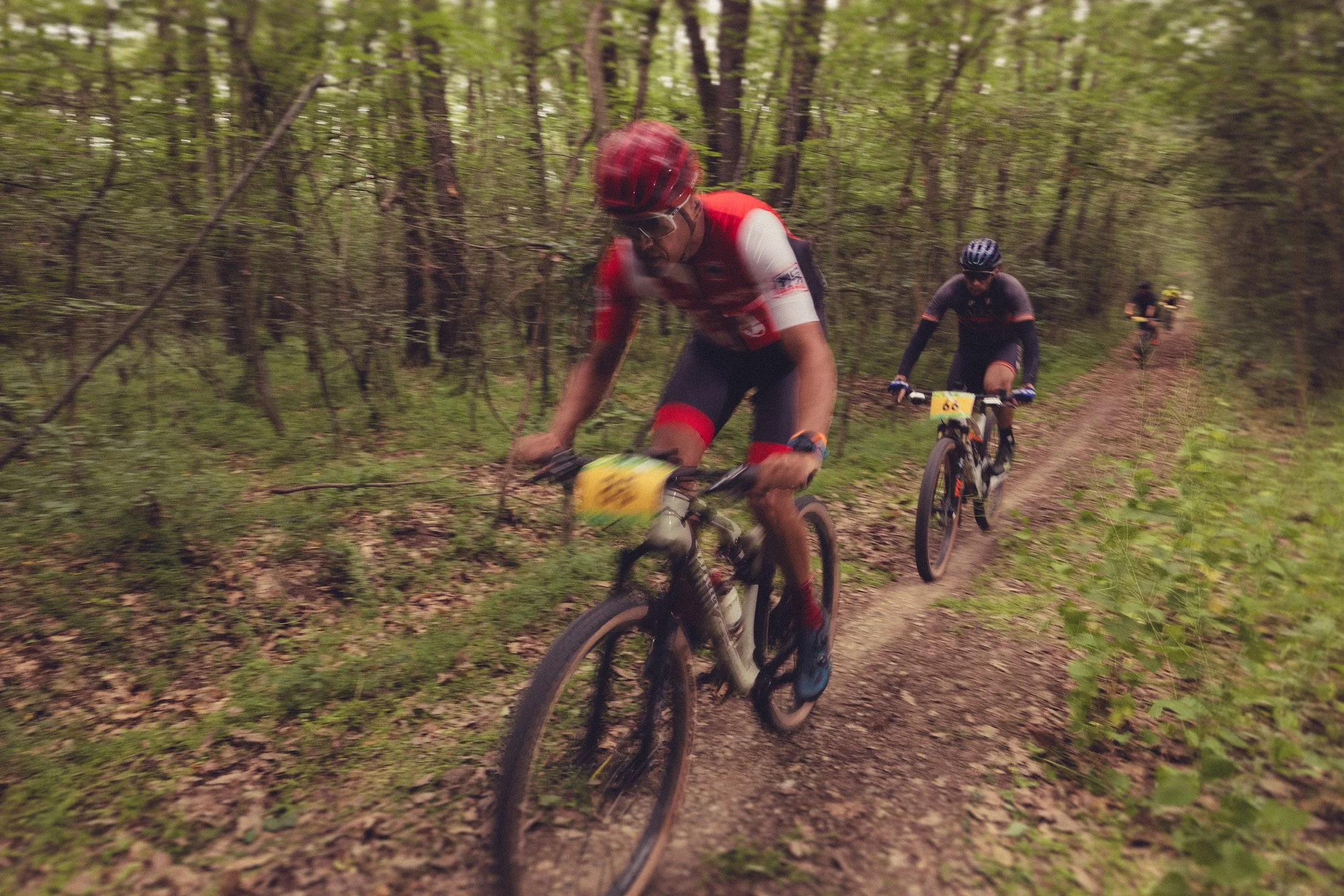 Group of cyclists racing through a wooded trail on mountain bikes.