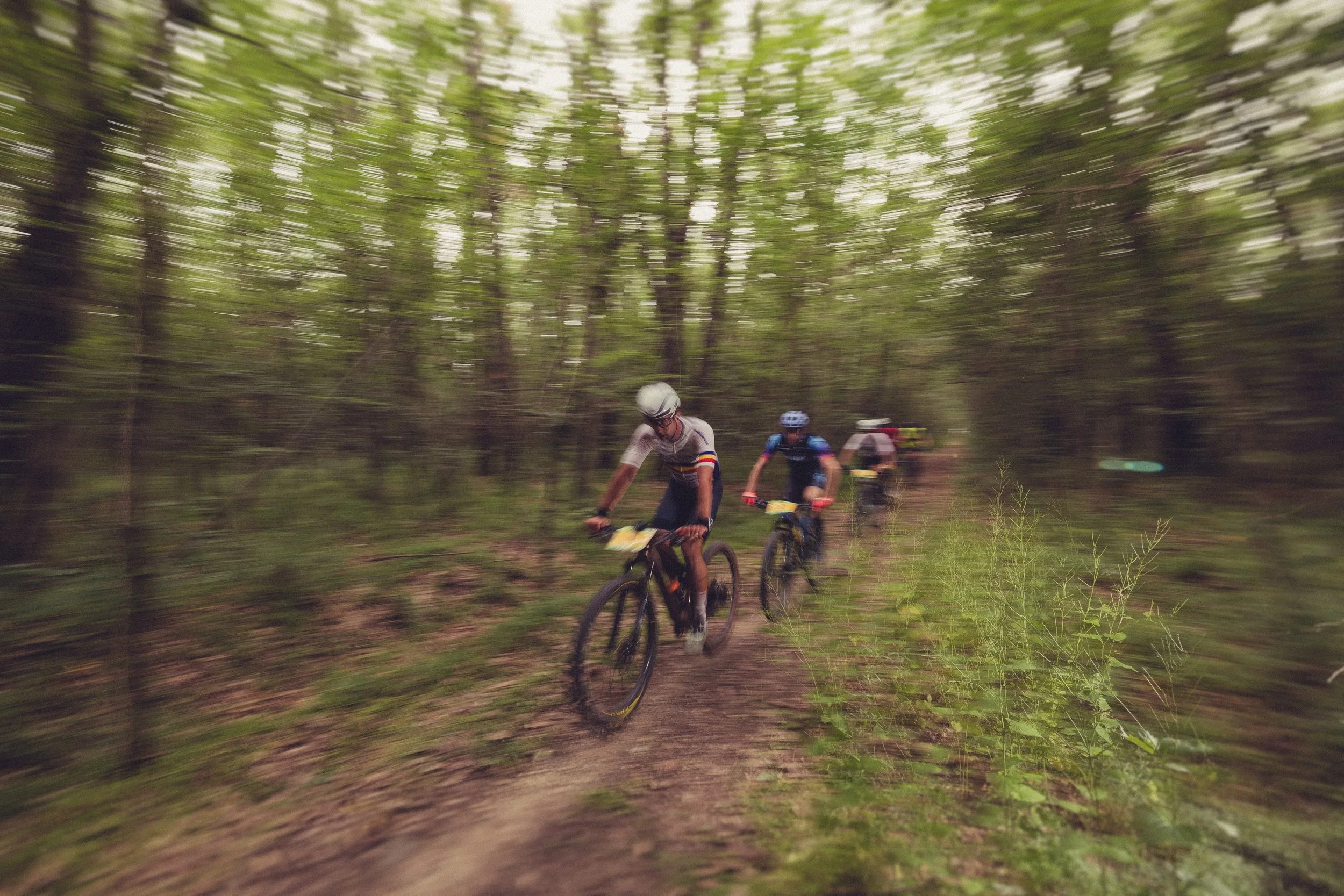 Three mountain bikers riding through a wooded trail, with motion blur creating a sense of speed and movement.