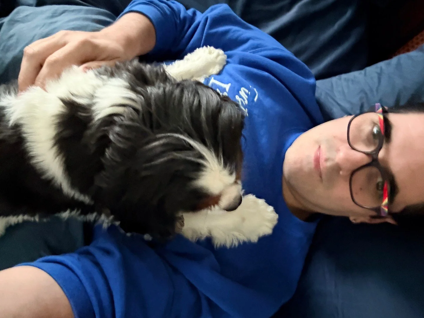 Me every time I try to nap