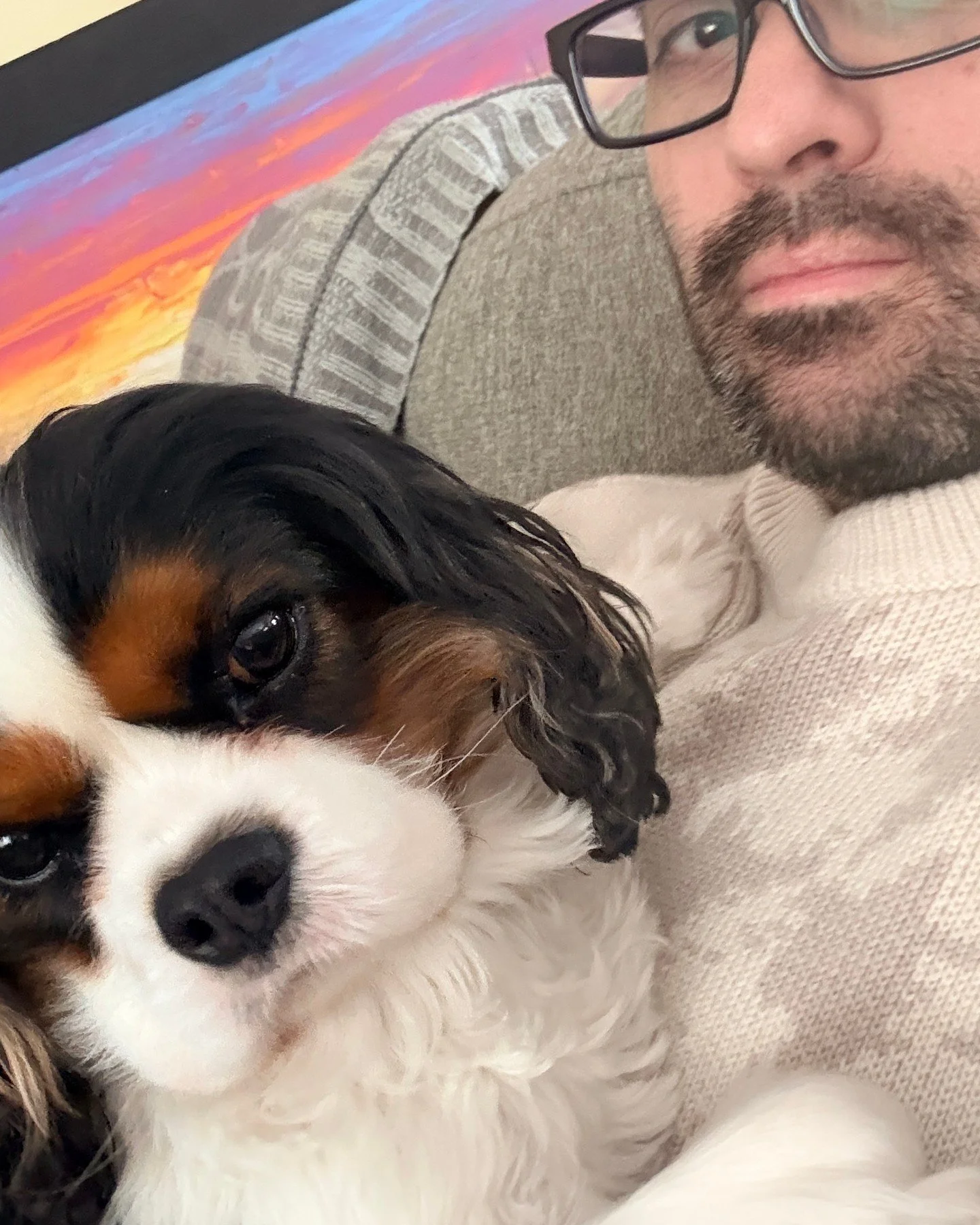 Please keep us in your thoughts today! This baby goes in for luxating patella surgery. And I&rsquo;m suffering from dog dad guilt for what I&rsquo;m putting him through. 

Don&rsquo;t get me wrong. The decision is made and it&rsquo;s the right one. H