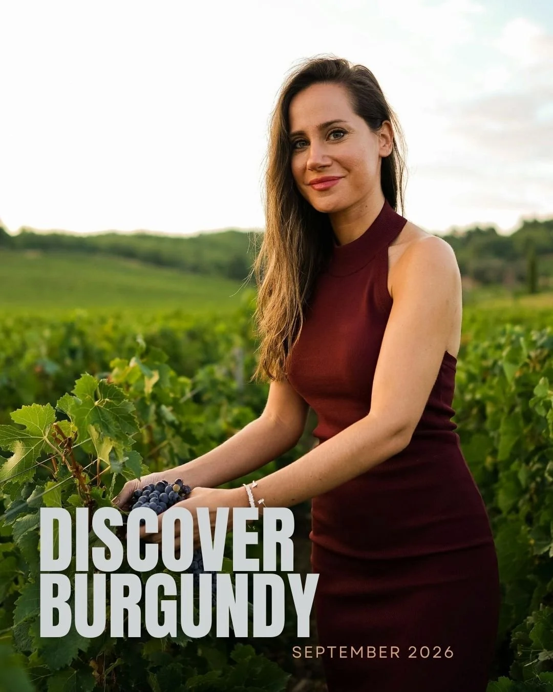 There's a version of Burgundy that most travelers never see.

Not because it's hidden, but because you need someone who knows where to look.
In September 2026, I'm taking a small group of 12 through one of the world's greatest wine regions, not as to