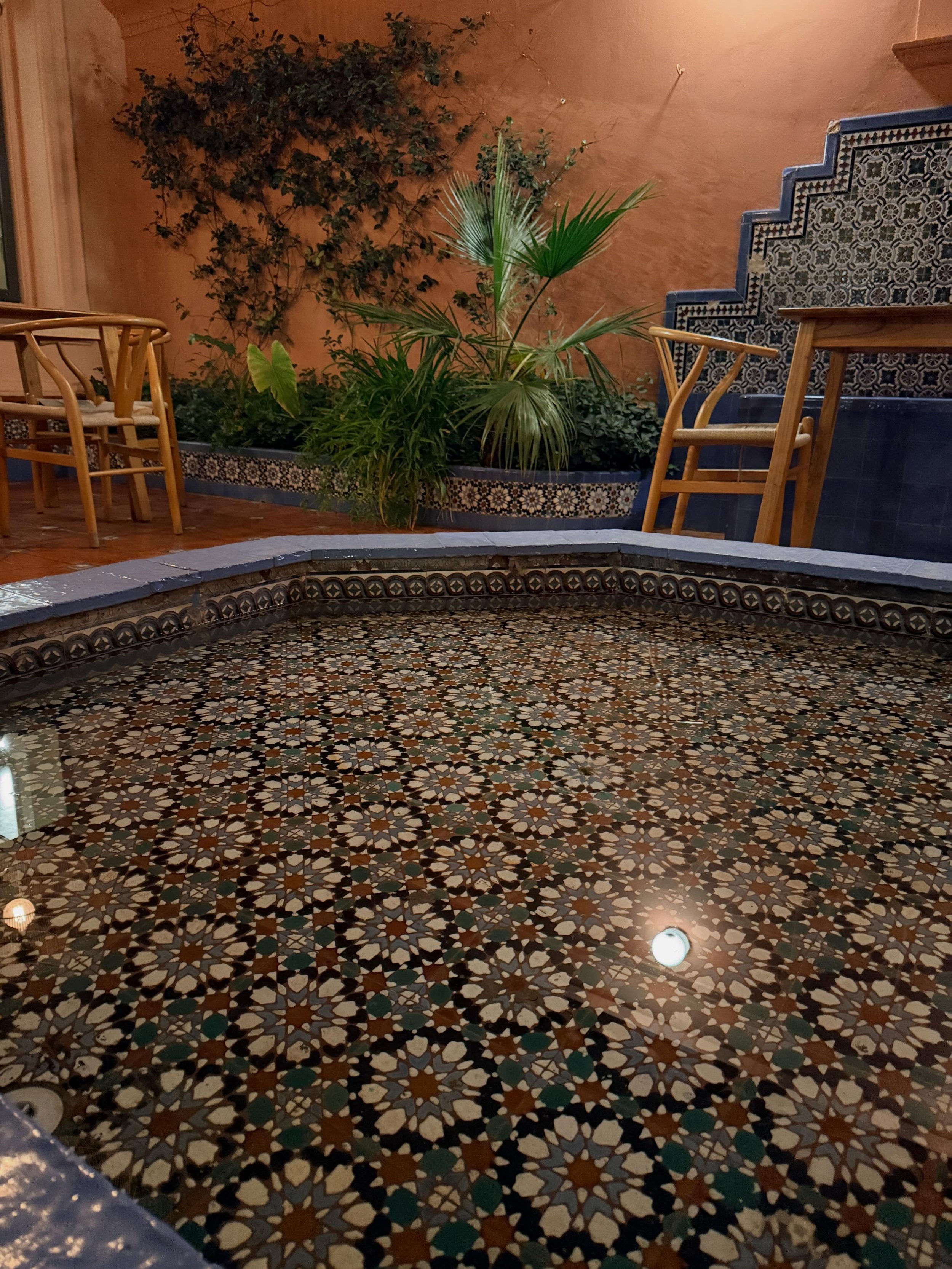 Sometimes you go to dinner in Argentina and end up in a 1950s mansion with unbelievable tile work. 

@centauro.restaurante