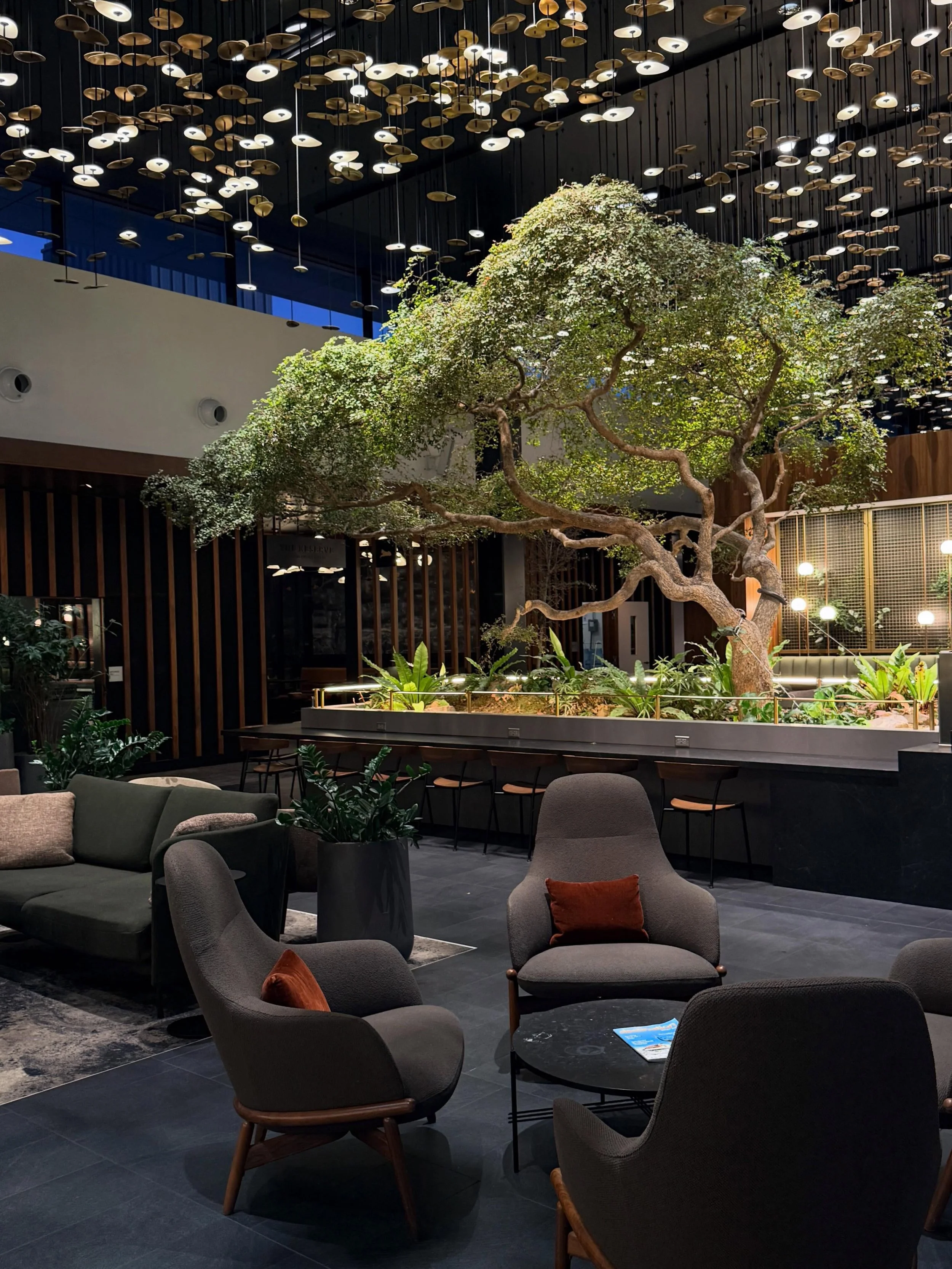 Ok, Amex Centurion Lounge Atlanta. Very nicely done.