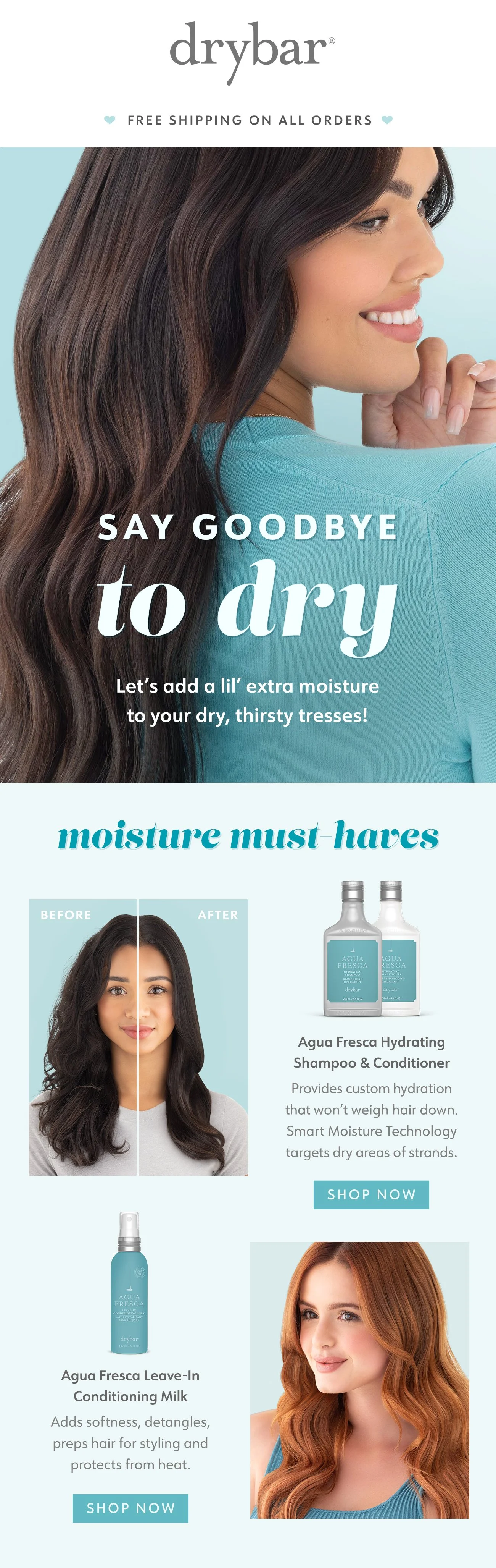 TopHairConcerns_DryHair_080123.jpg