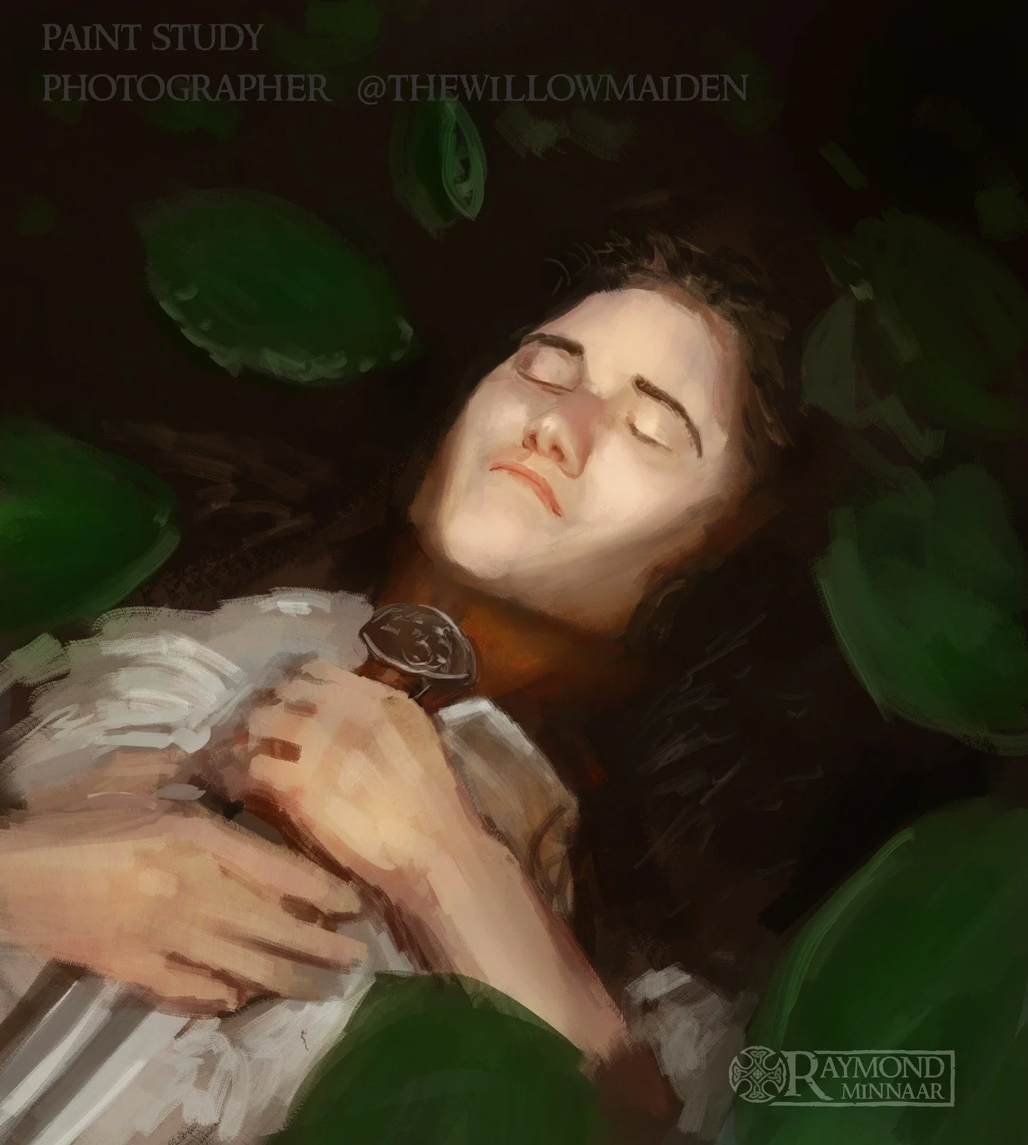 2025 
Study Monday, 
warmup painting a semi random photo. 
Credit to the original photographer
 @thewillowmaiden 

#painting #study #digitalPainting #Art #fantasy #learnart #photostudy #thewillowmaiden
