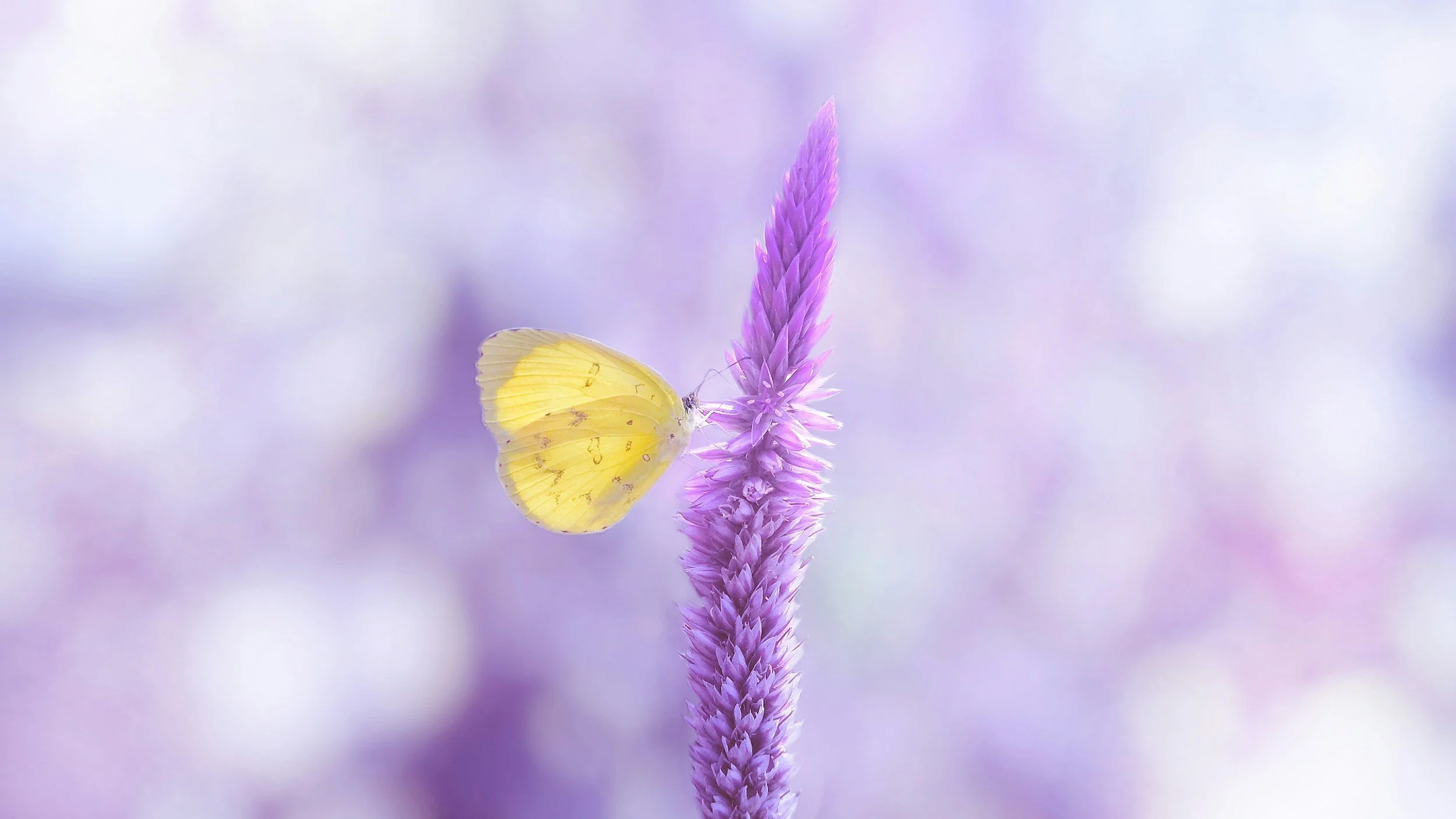 We're speaking at the Writing Romance Mastery Summit