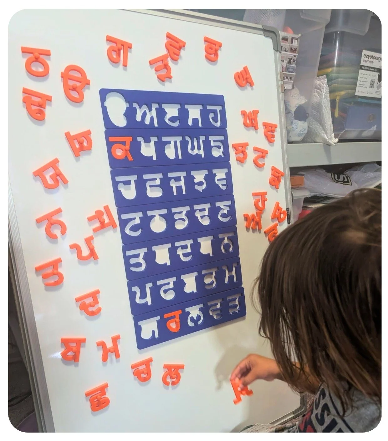 WhatsApp Image 2026-03-06 at 13.31.15.jpeg