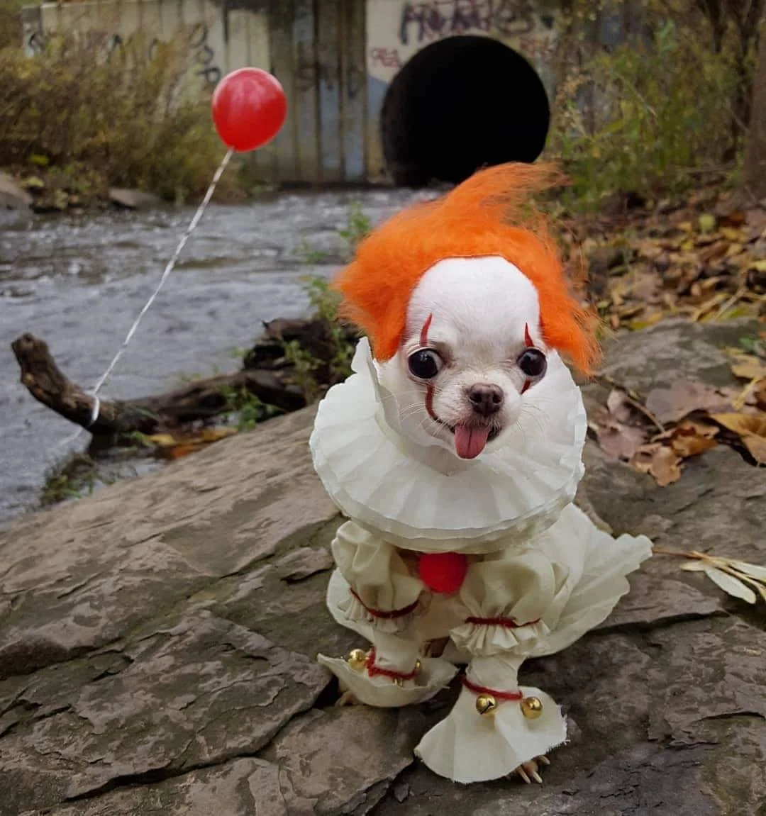 Archival Howl-ween
