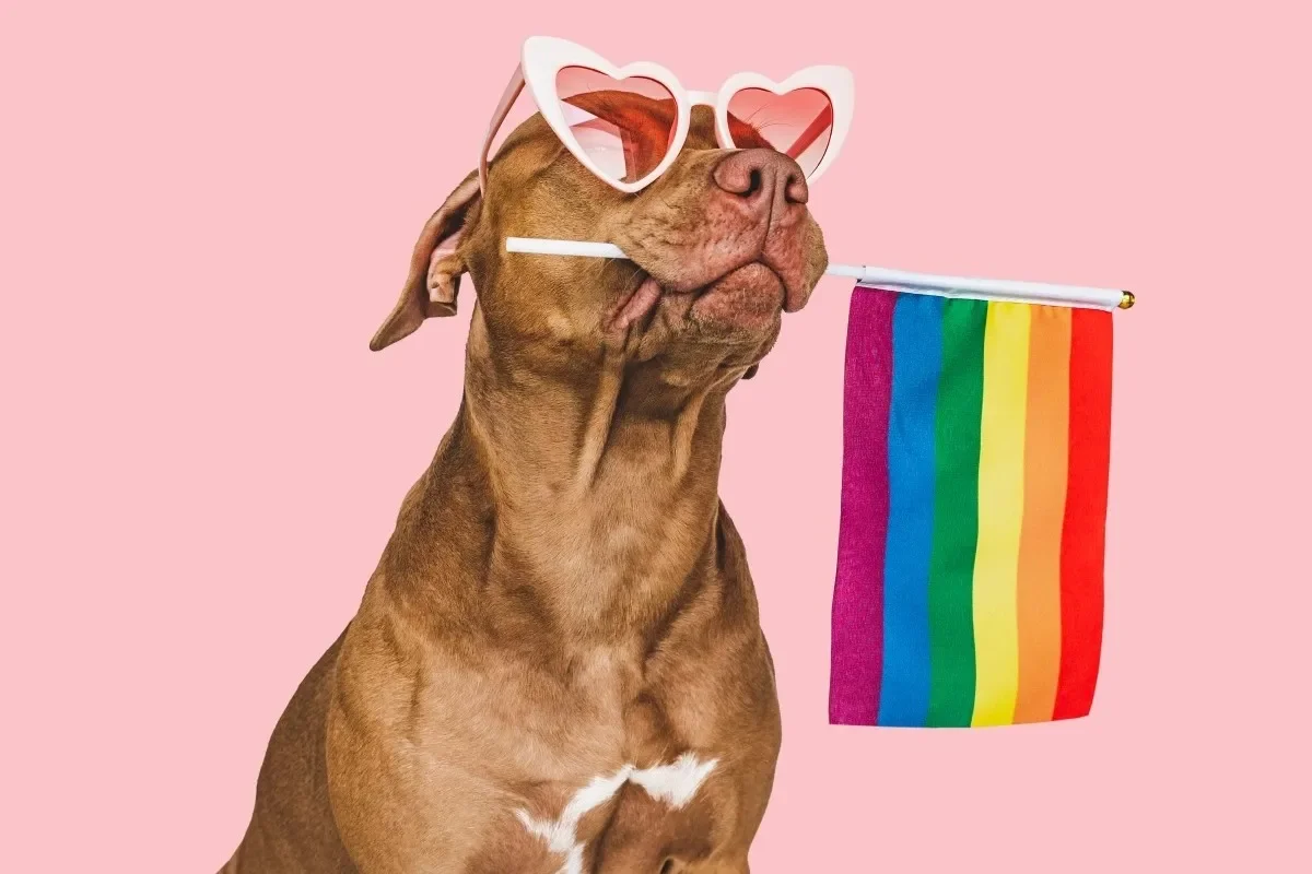 Grand Rapids Pride Festival 2026: Together We Glow