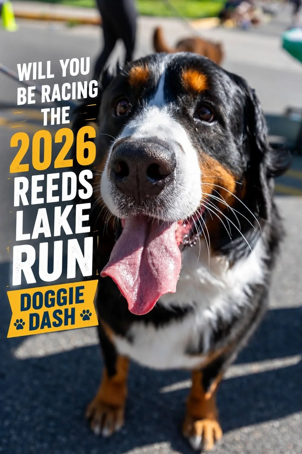 Reeds Lake Run - Dog Dash