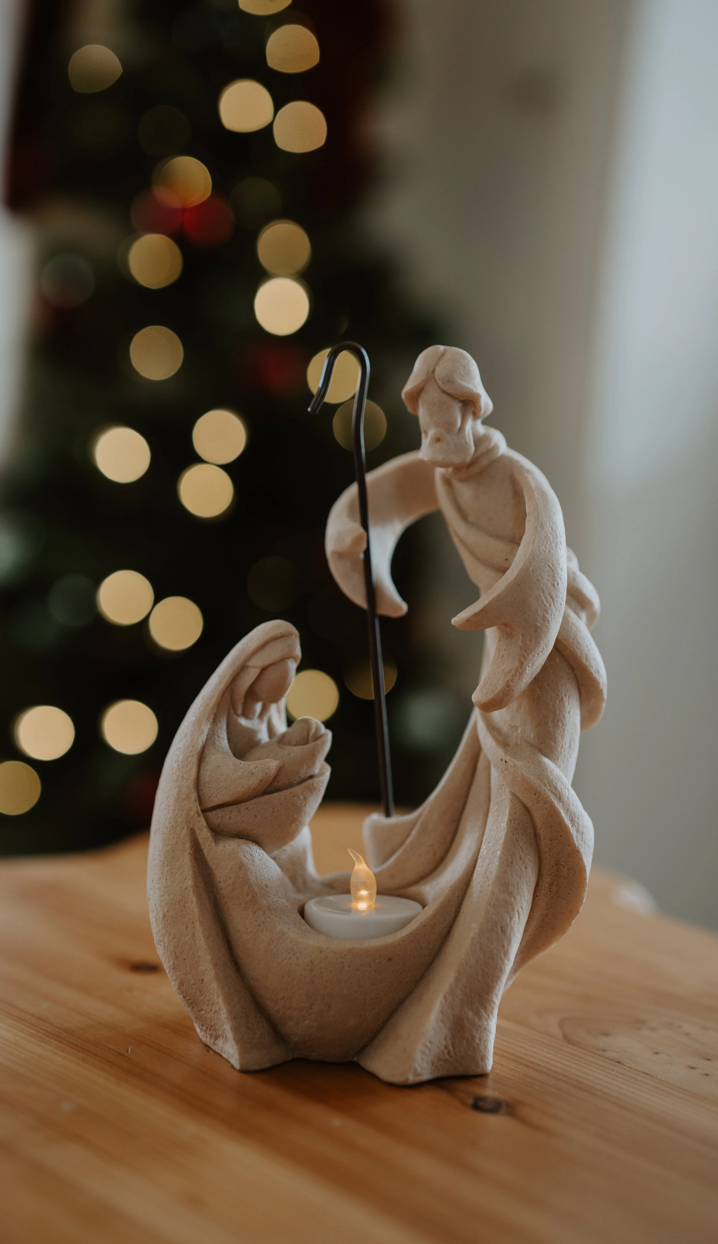 Christmas Dinner Party Photoshoot-8.jpg