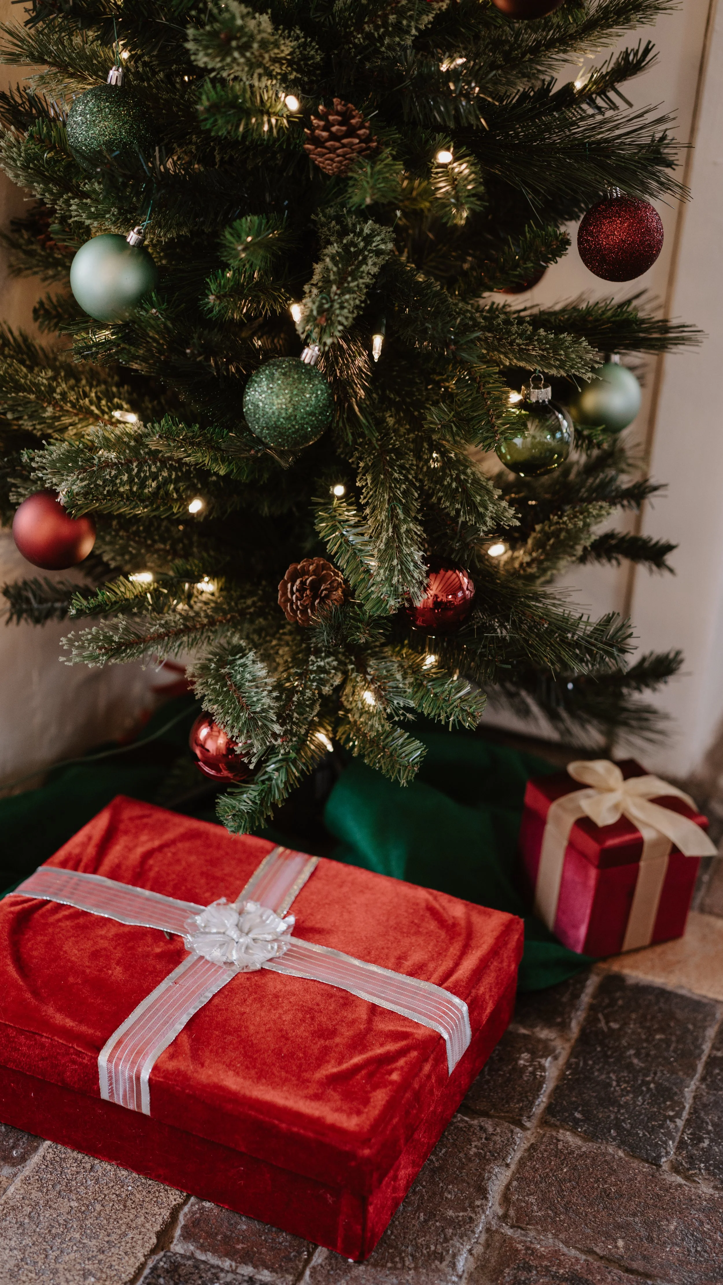 Christmas Dinner Party Photoshoot-43.jpg