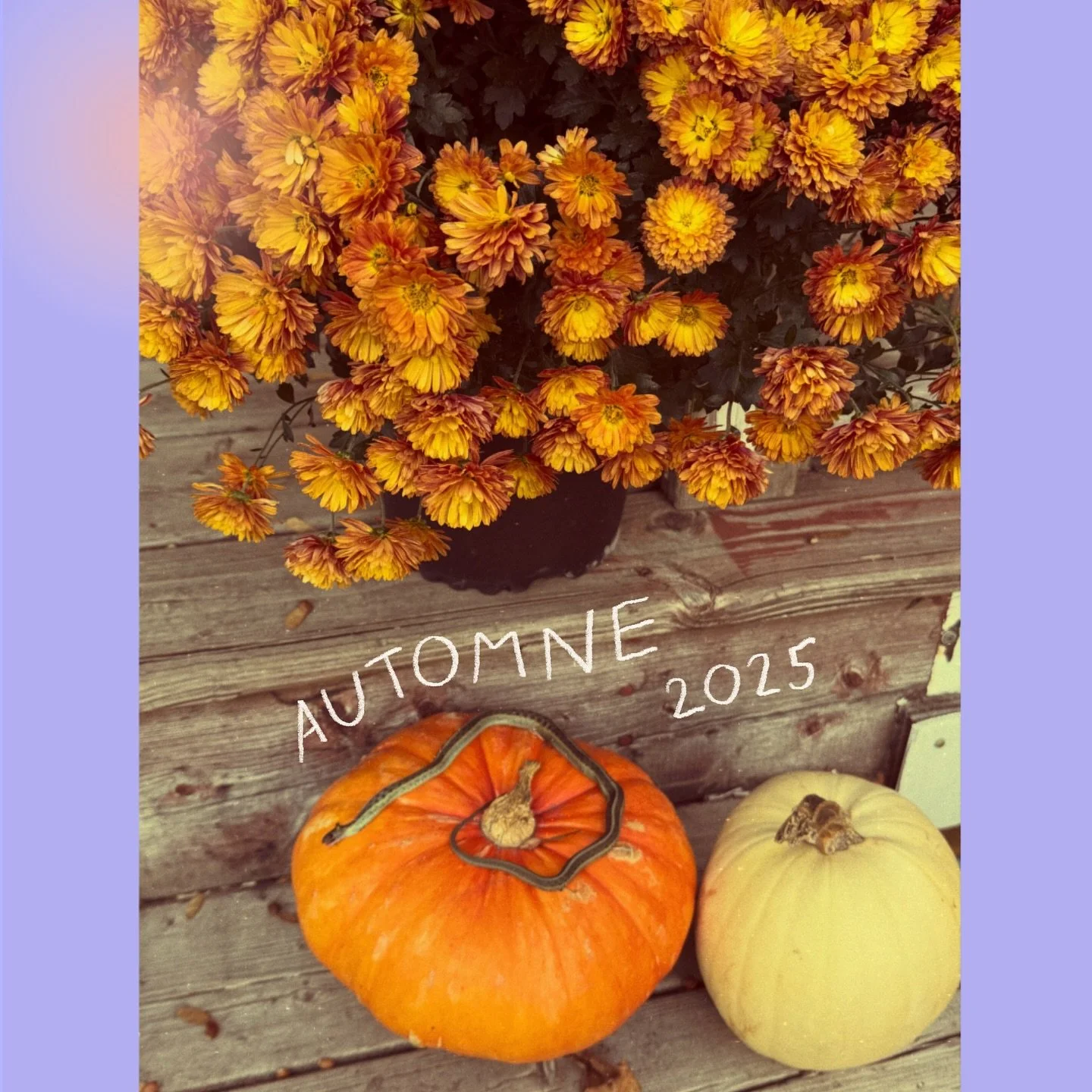 C’est si doux, c’est si bon.