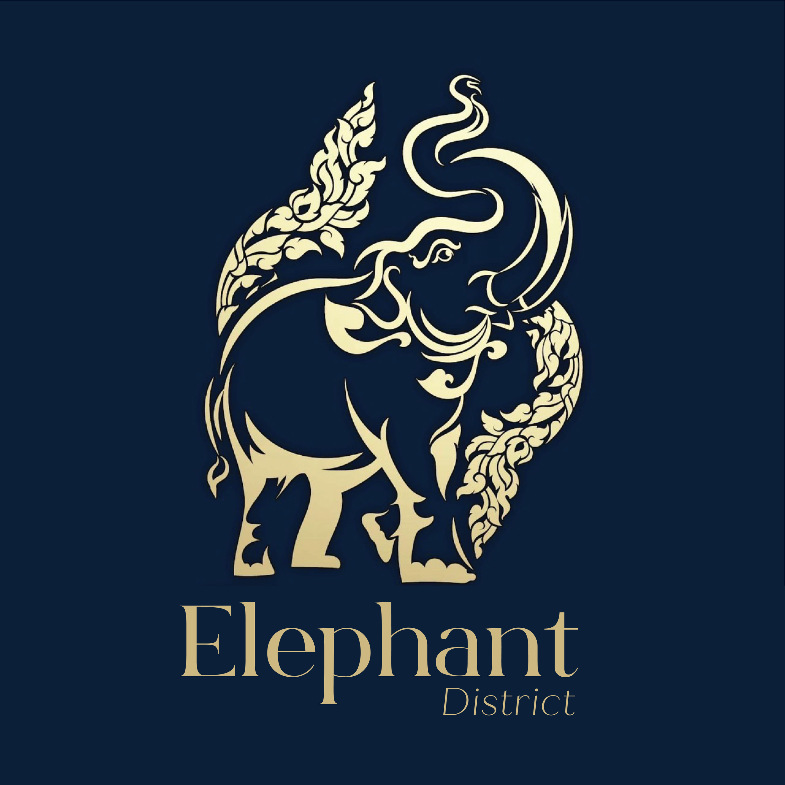 Elephant District