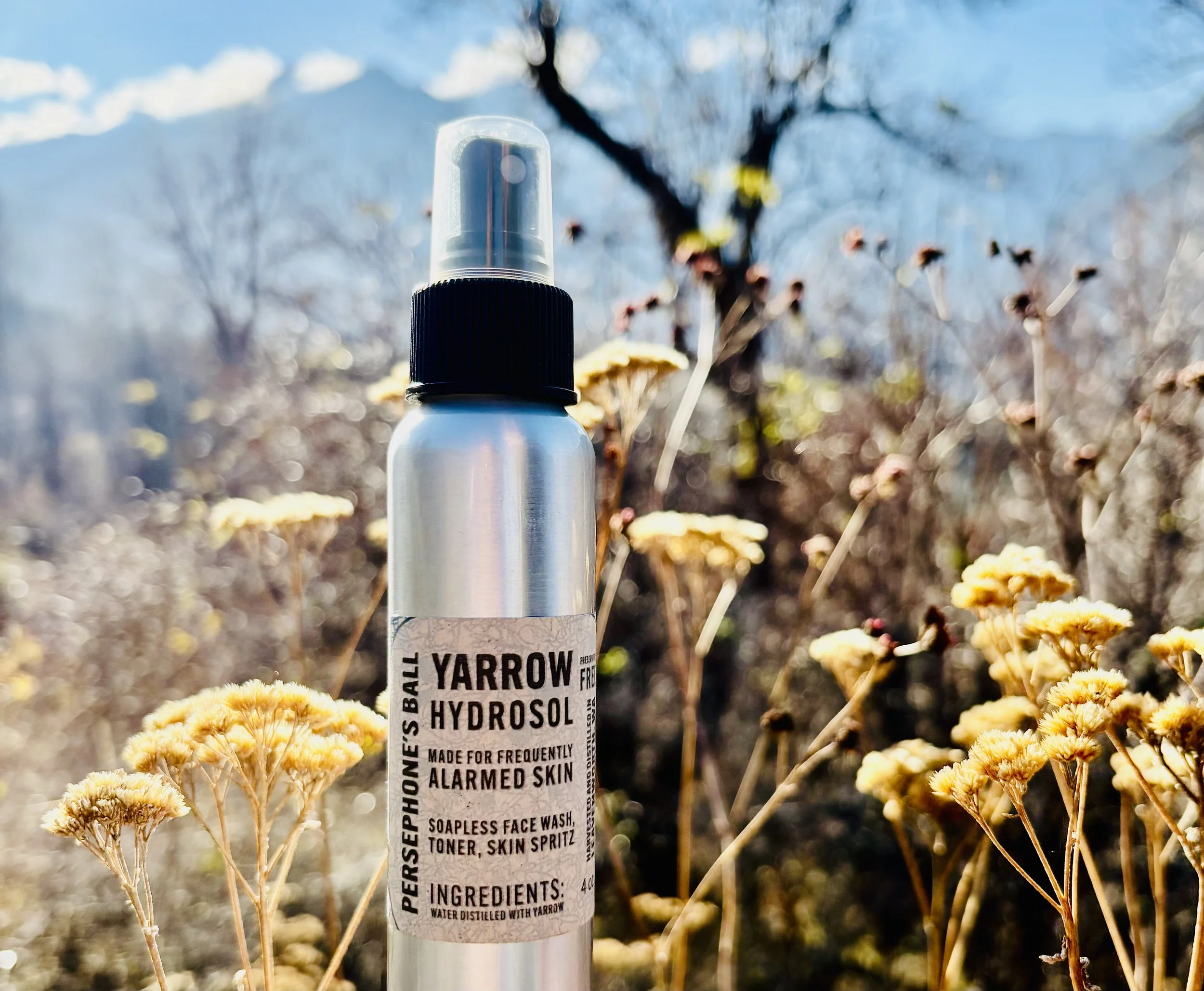 A spray bottle labeled "Yarrow Hydrosol" standing among dried yellow yarrow flowers with mountains and a cloudy sky in the background.