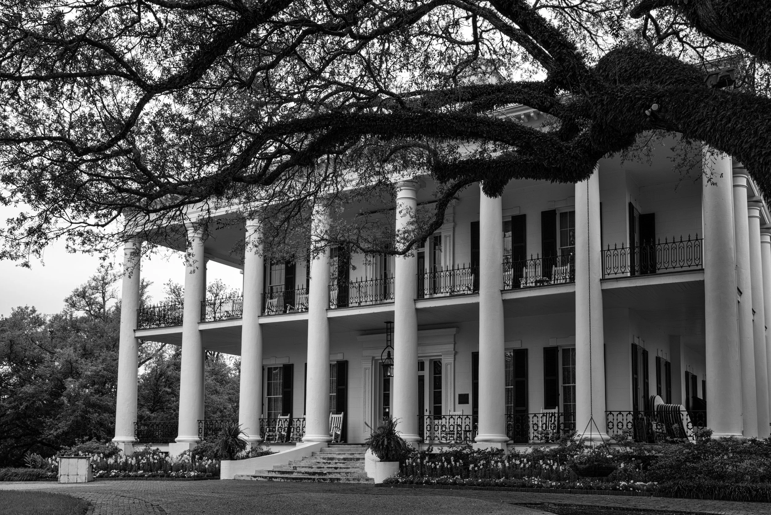 2016 Mississippi | Natchez | Dunleith