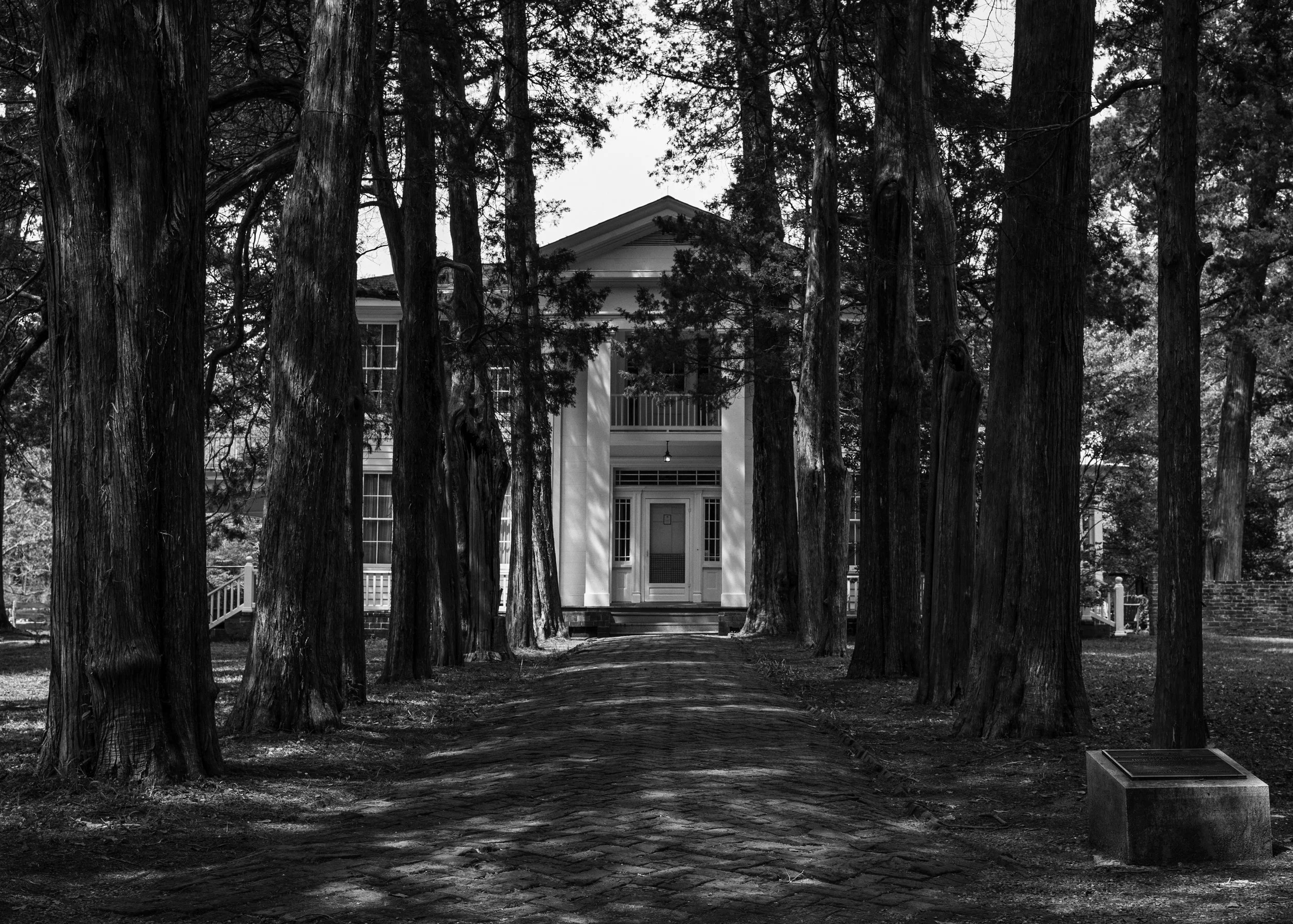 2016 Mississippi | Oxford | Rowan Oak