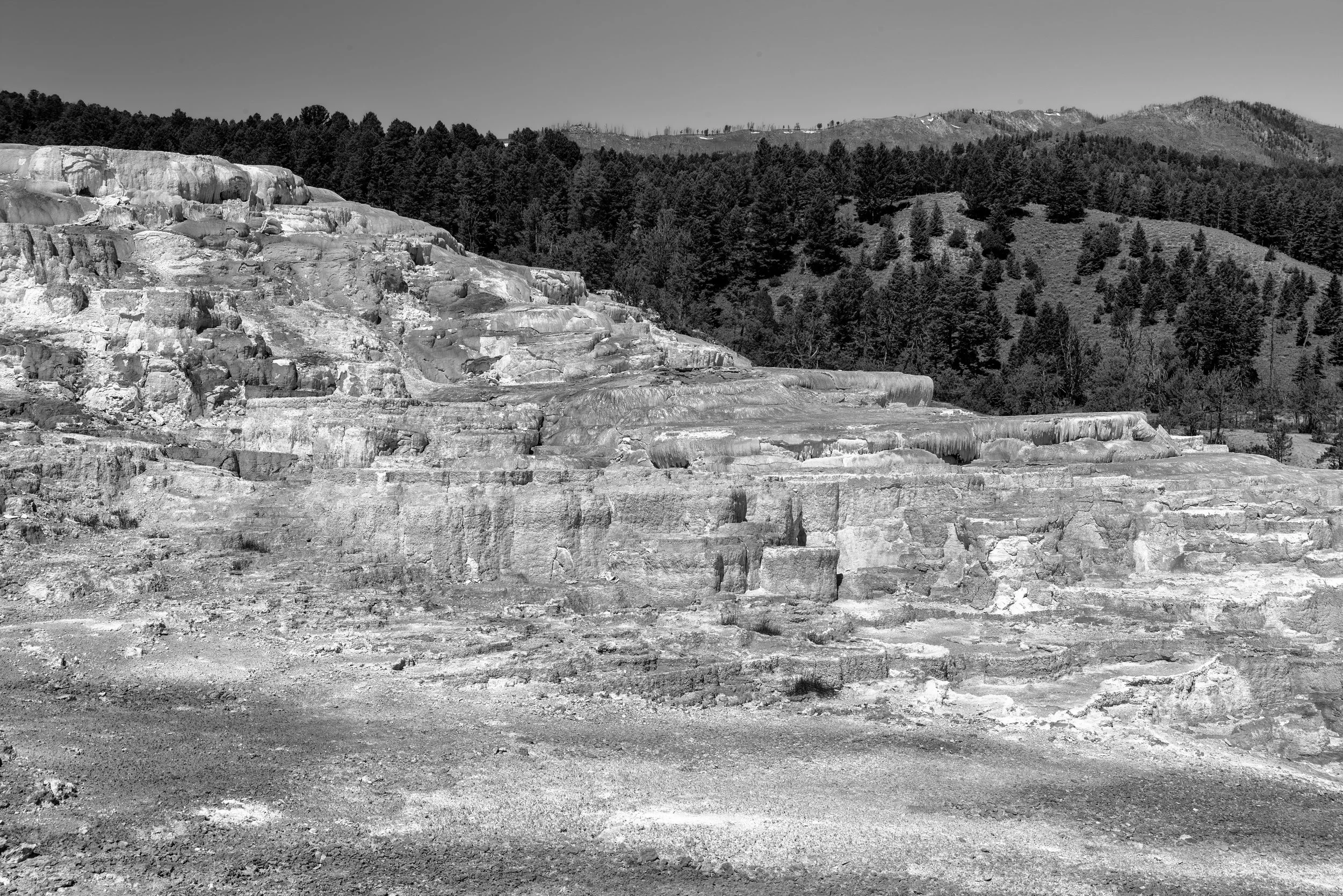2011 Wyoming | Yellowstone
