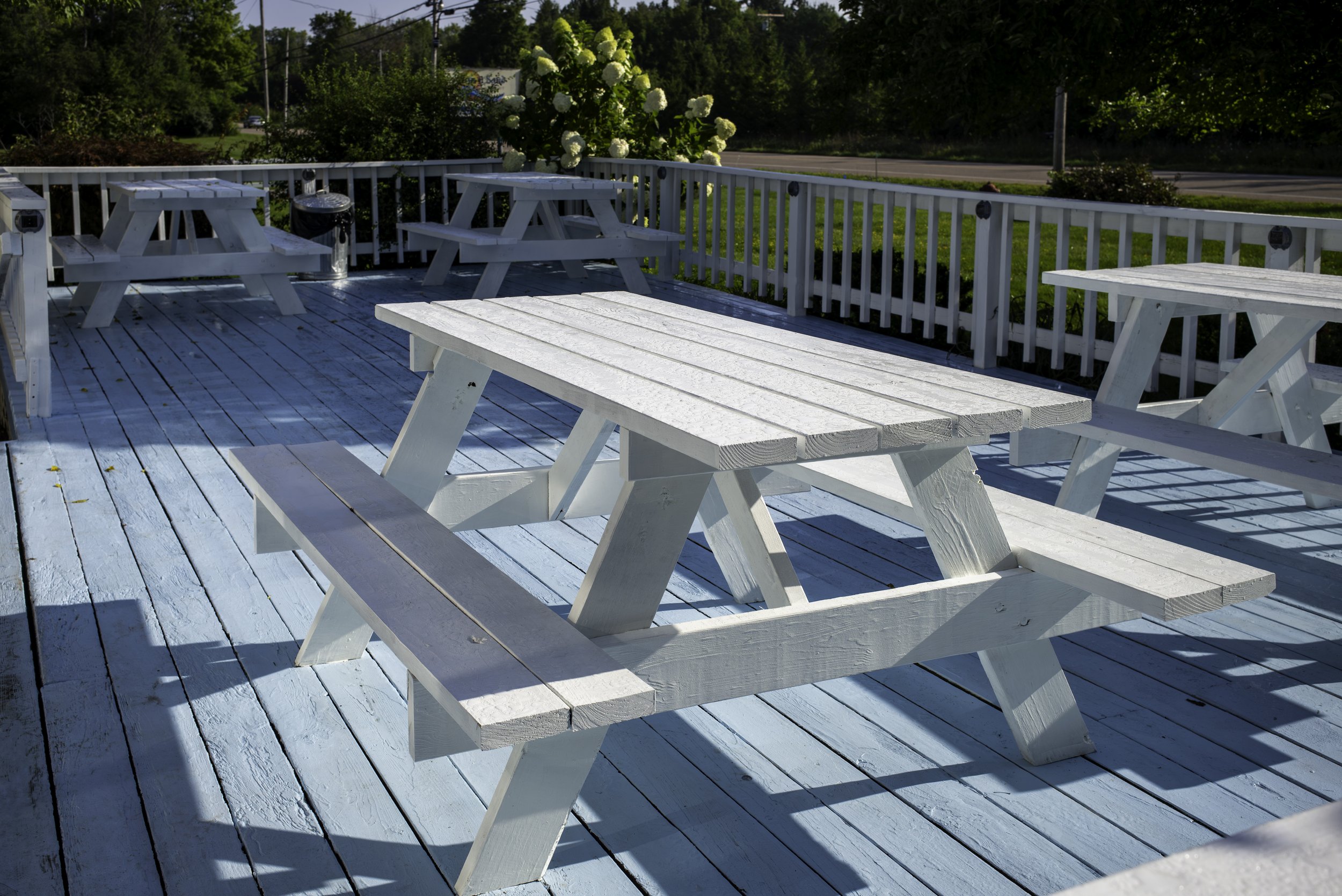 2023 | Michigan | South Haven