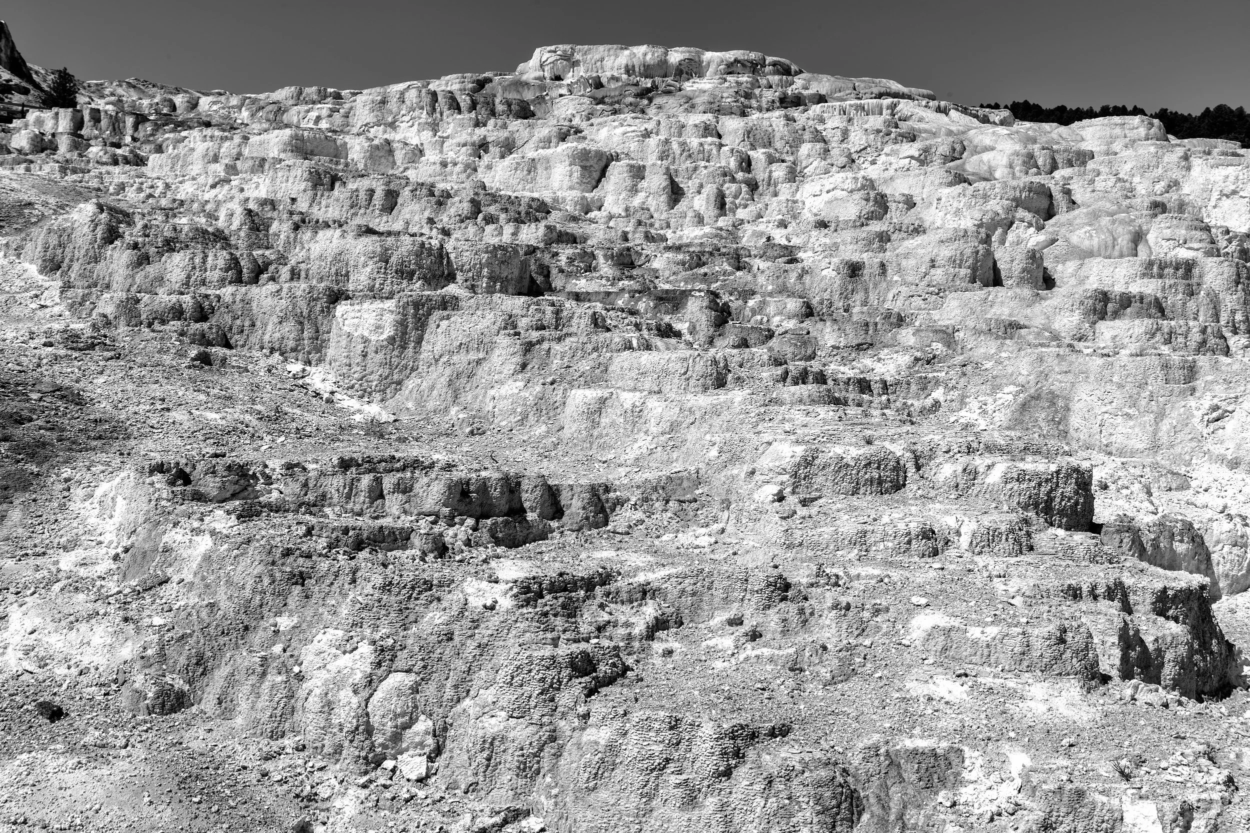 2011 Wyoming | Yellowstone