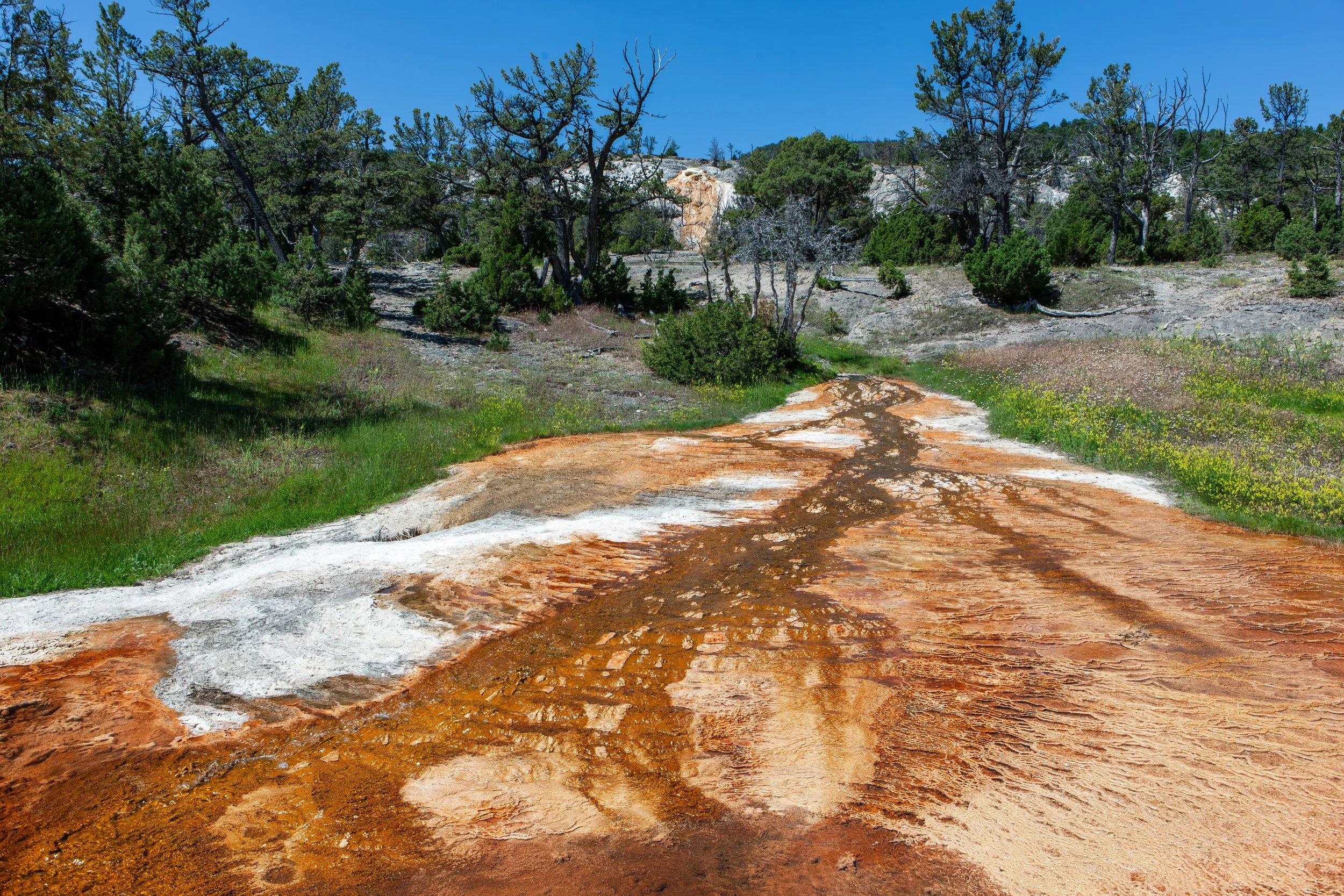 2011 Wyoming | Yellowstone