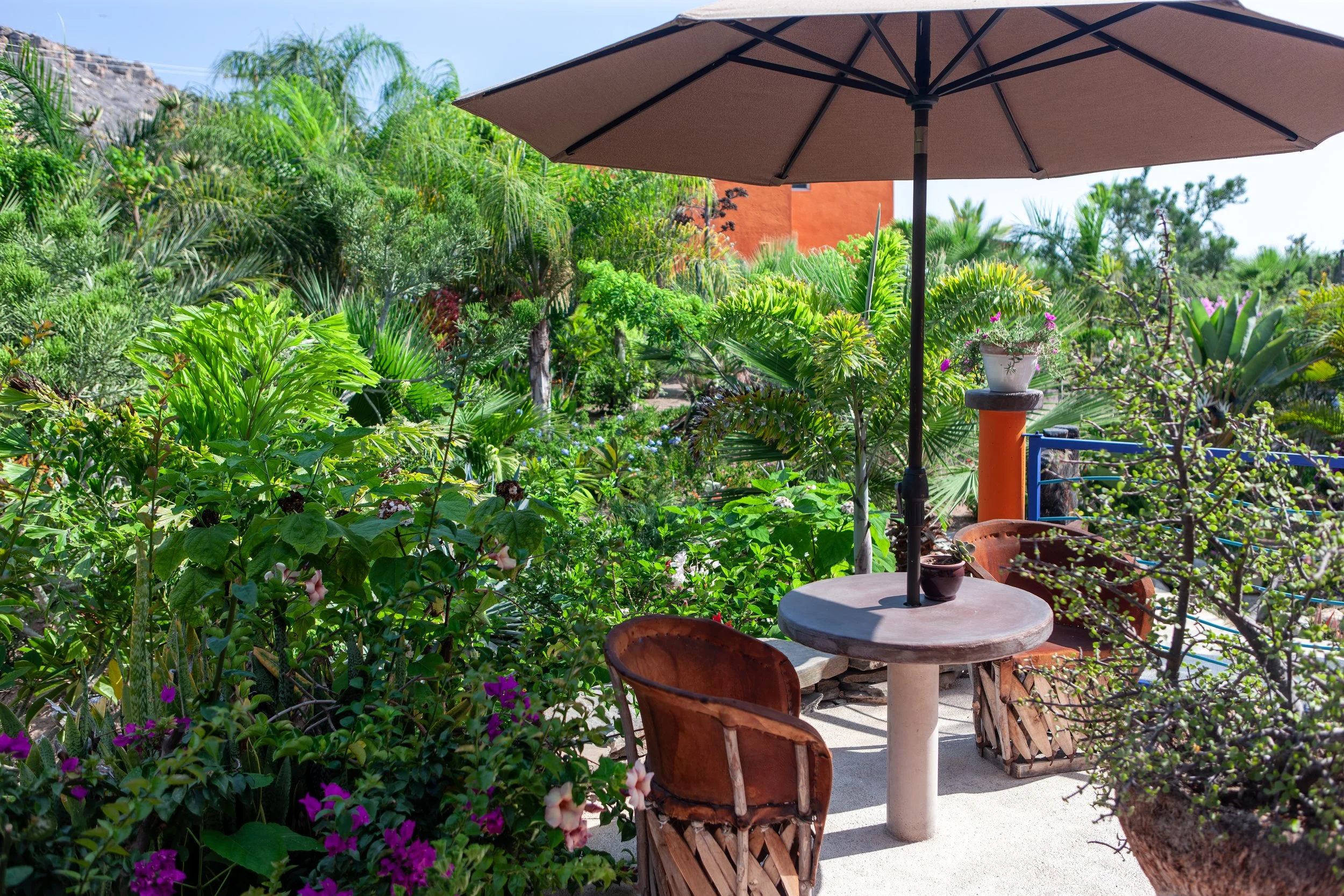 2009 Mexico | Todos Santos