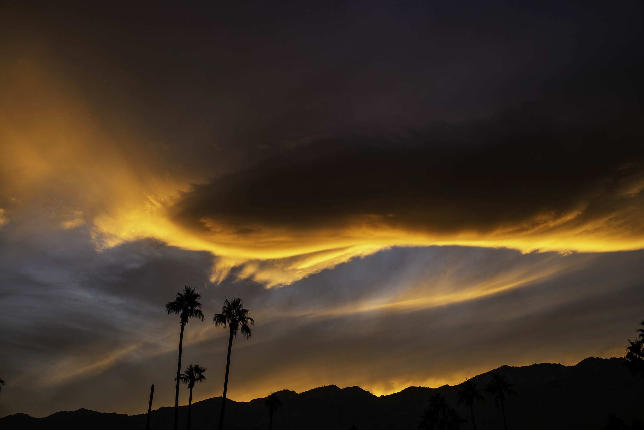 2024 California | Palm Springs