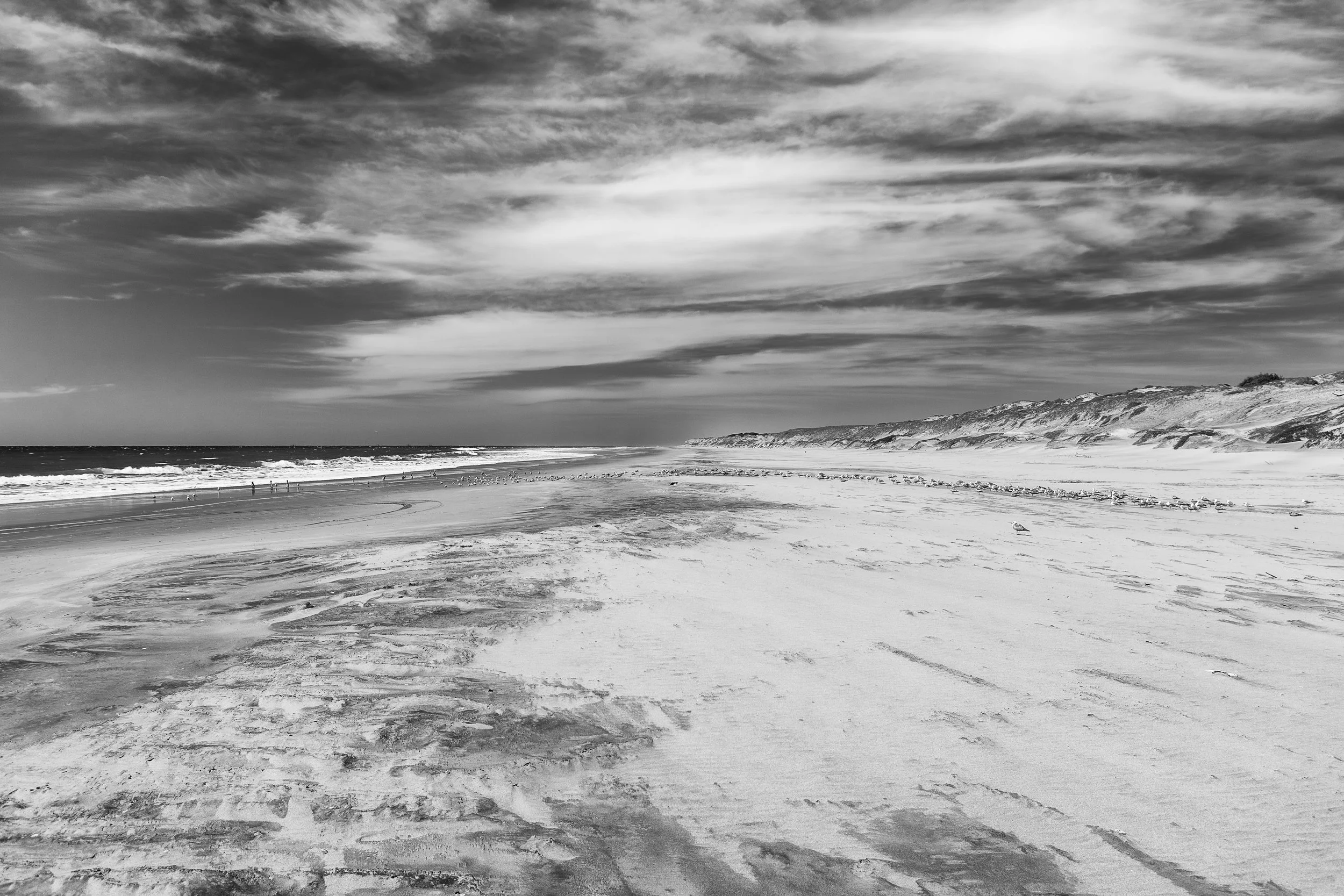 2009 Mexico | Baja Shark Fishing Camp